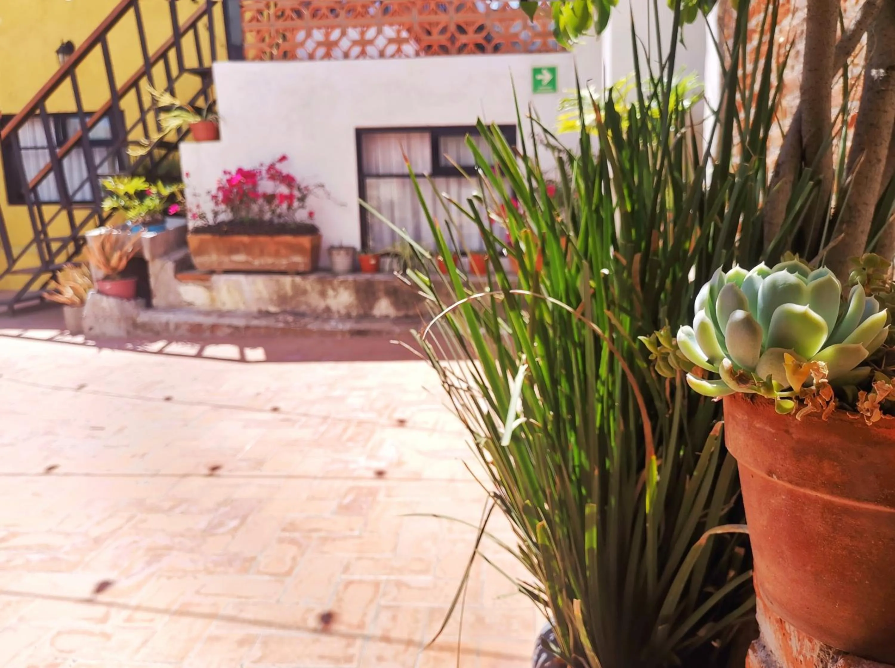 Patio in Santa Josefita B&B