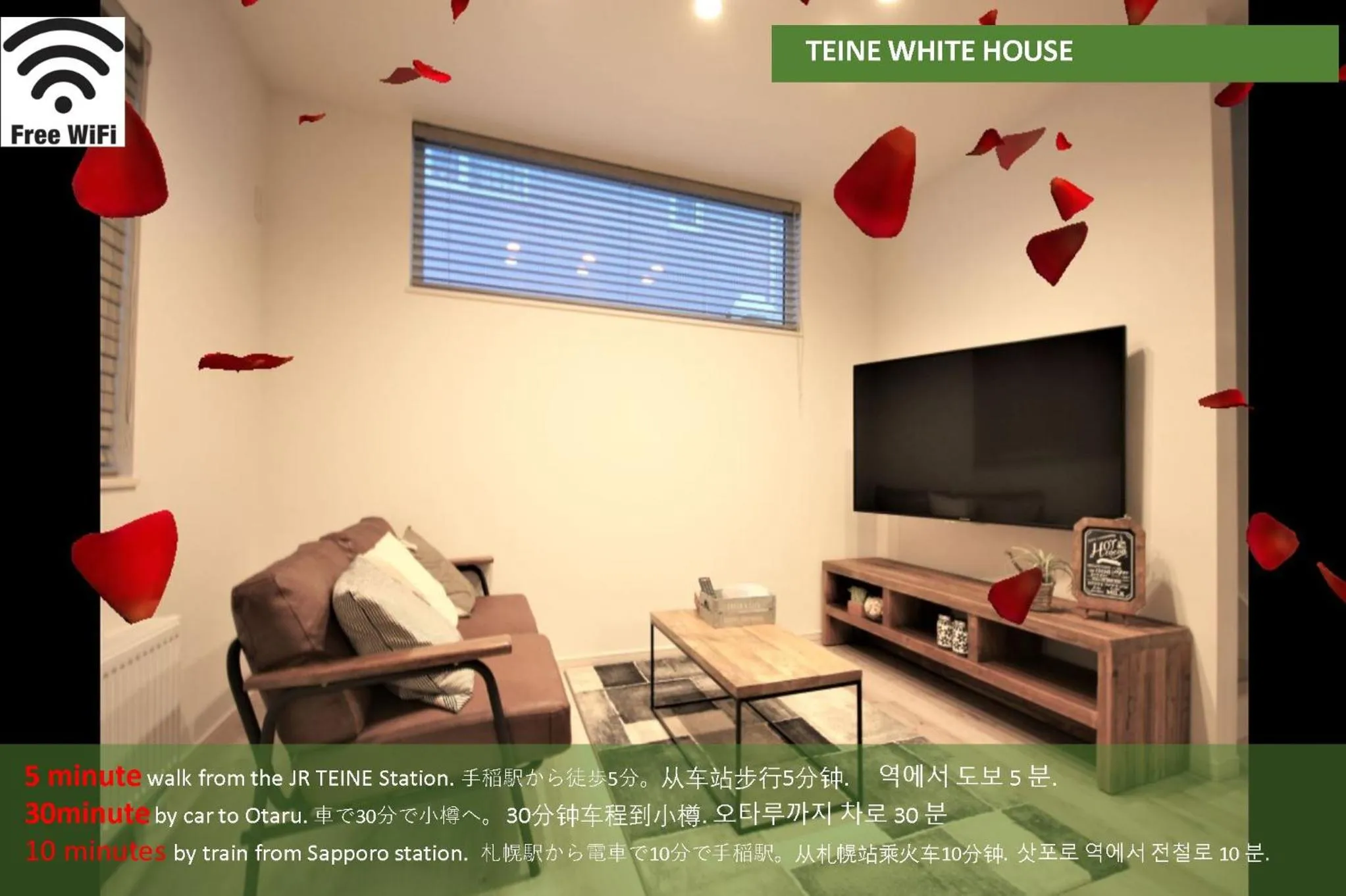 TV and multimedia in TEINE WHITE HOUSE