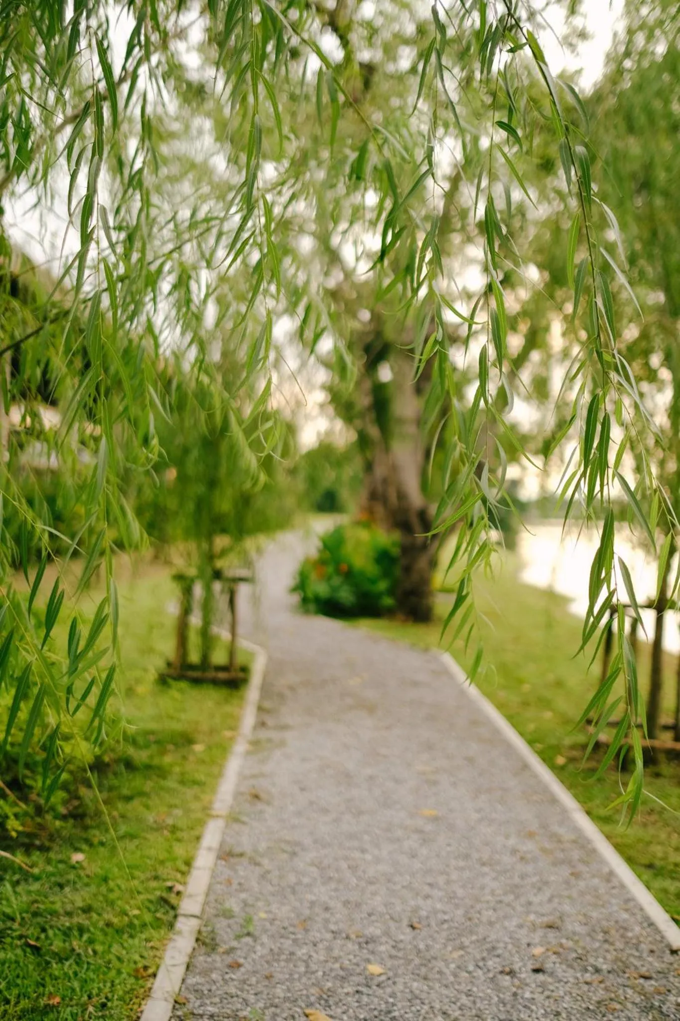 Garden in Ploen Pirom