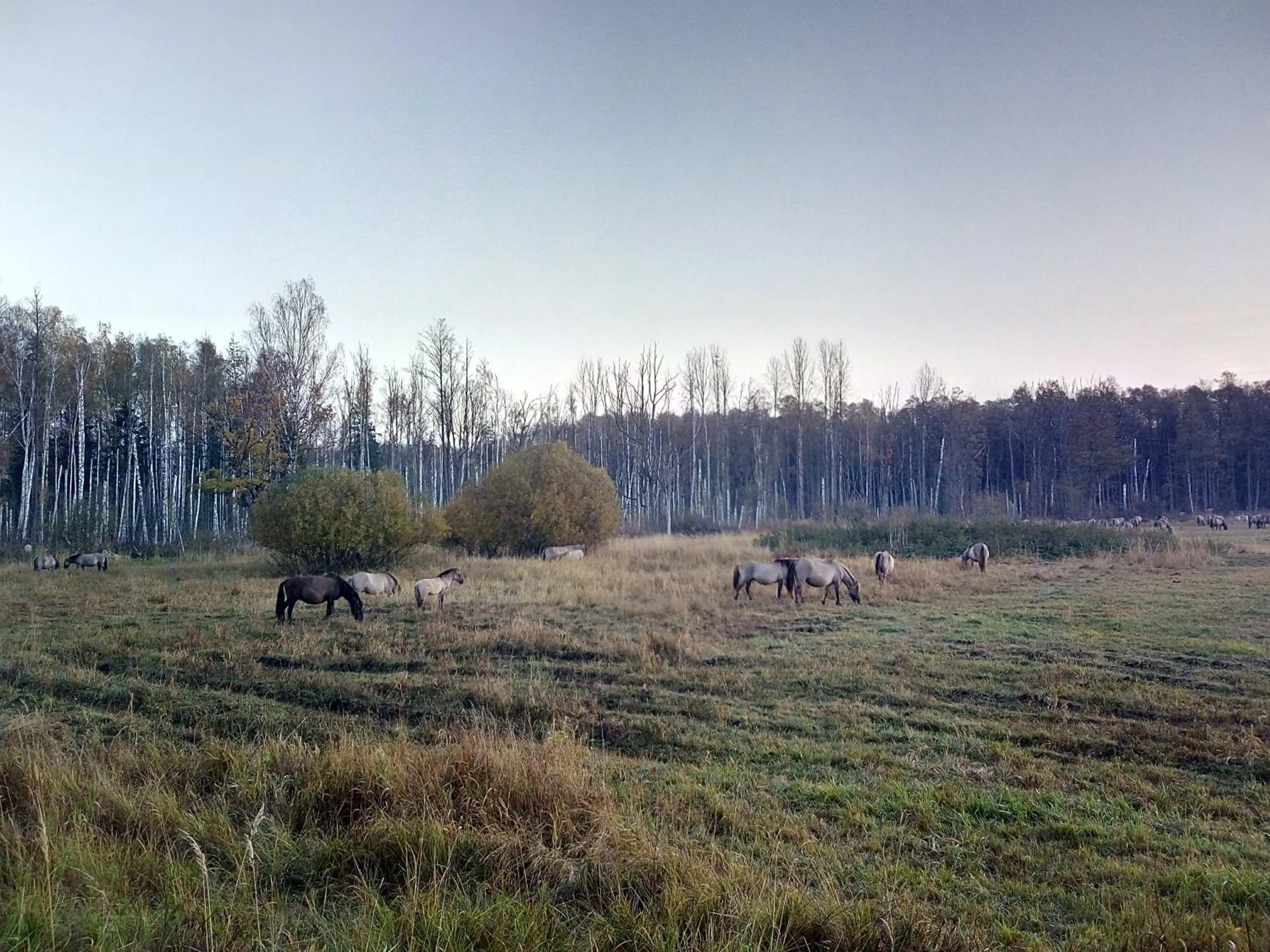 Nearby landmark in KEMERI Hotel in National Park - FREE PARKING