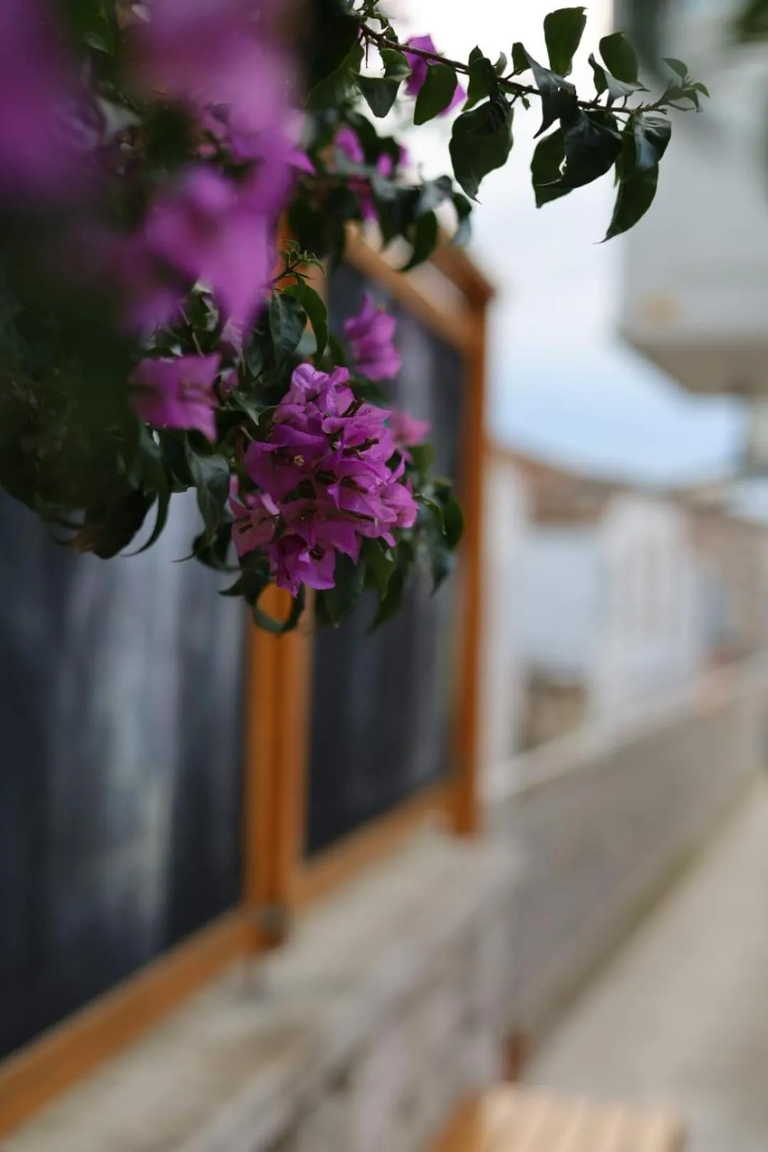 Monat Otel Alaçatı