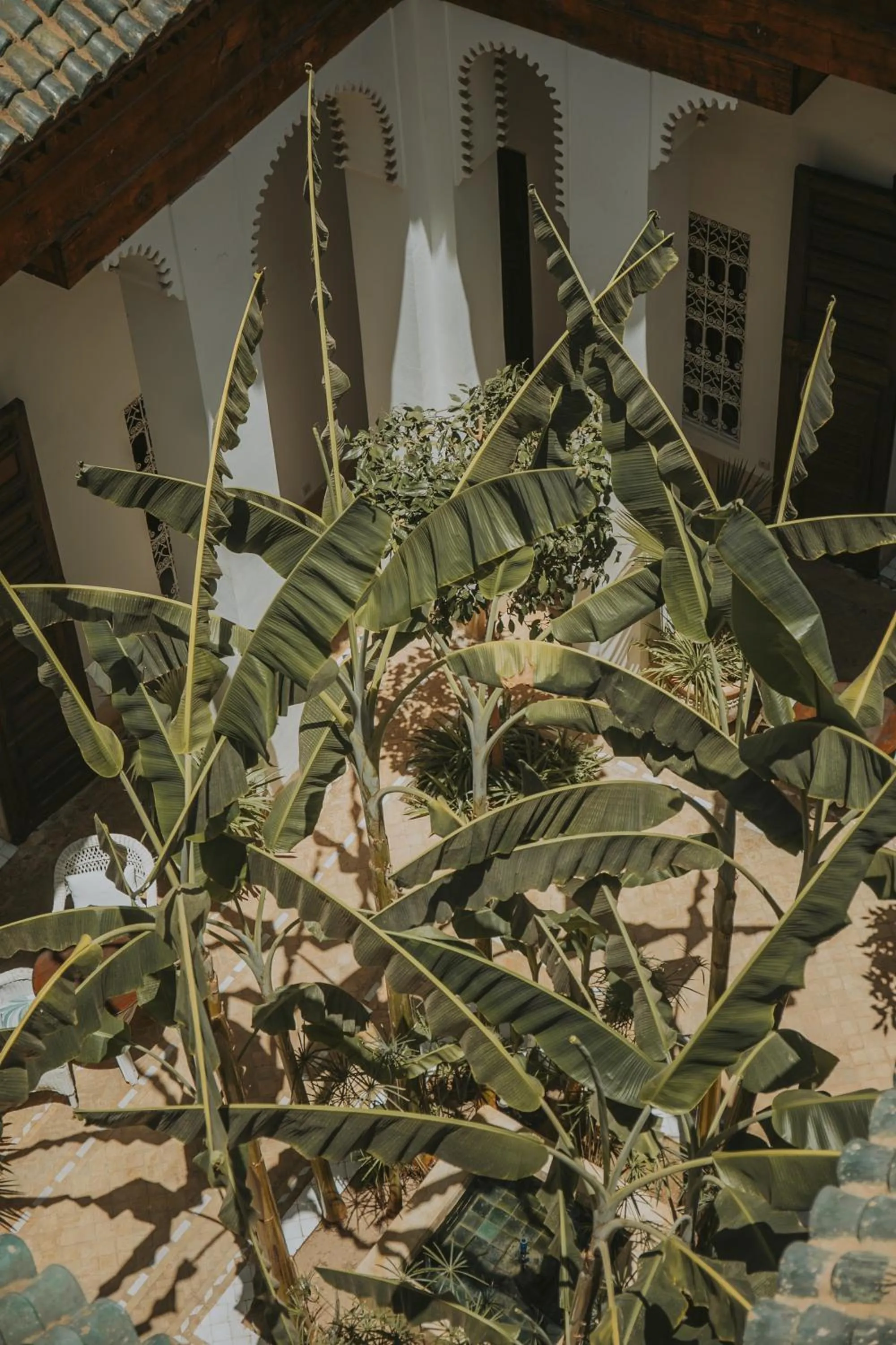 Patio in Palais Chadmi