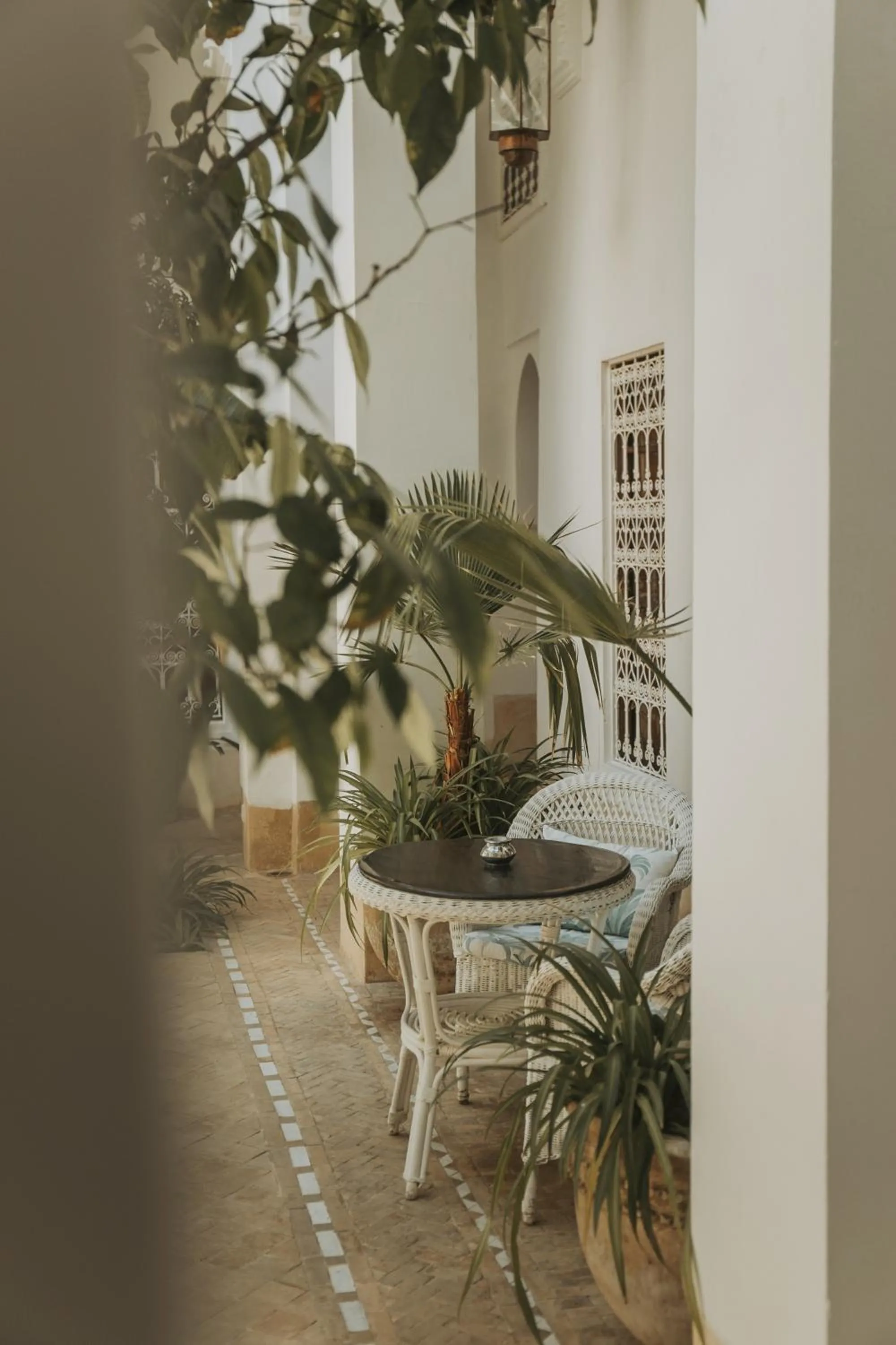 Restaurant/places to eat in Palais Chadmi
