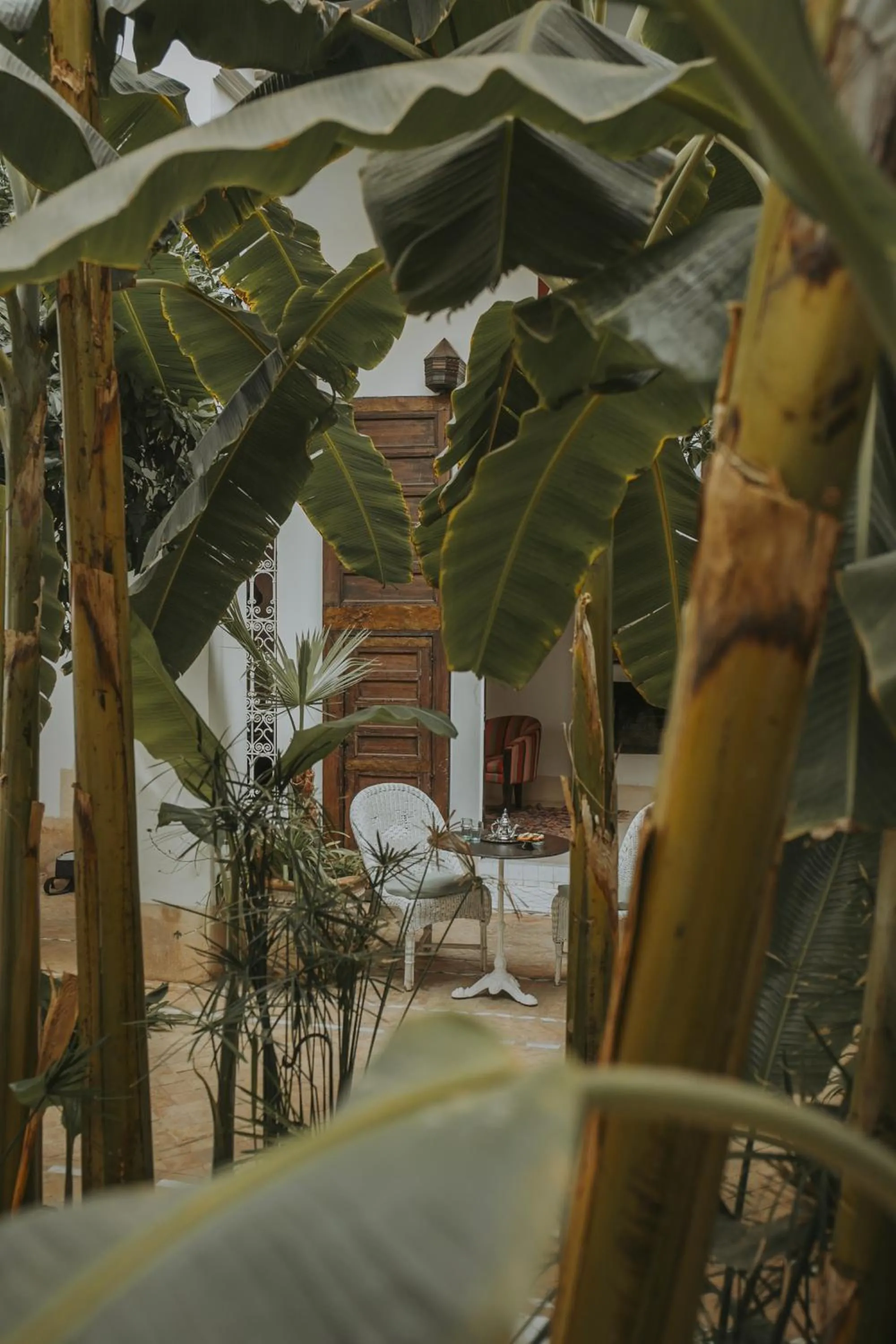 Patio in Palais Chadmi