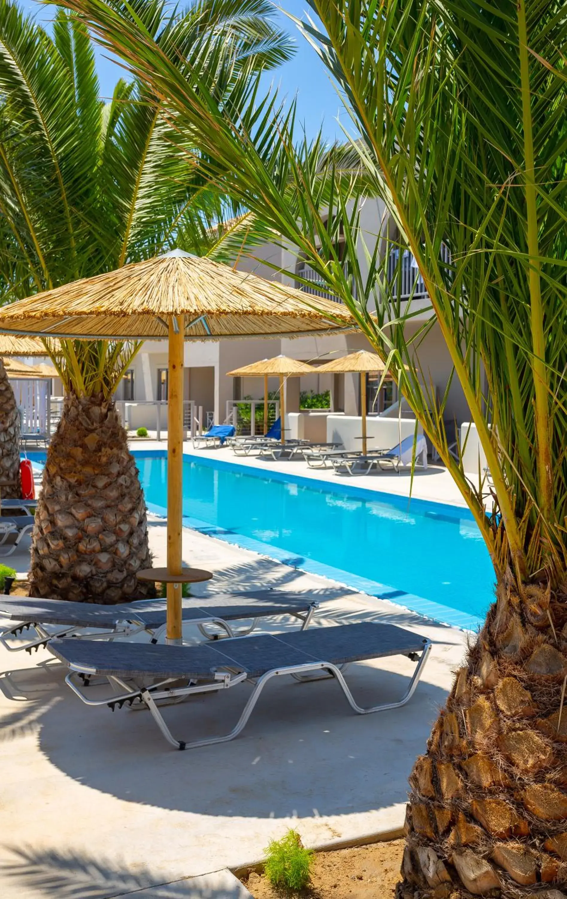 Pool view in Akti Beach Club Pool view in Akti Beach Club