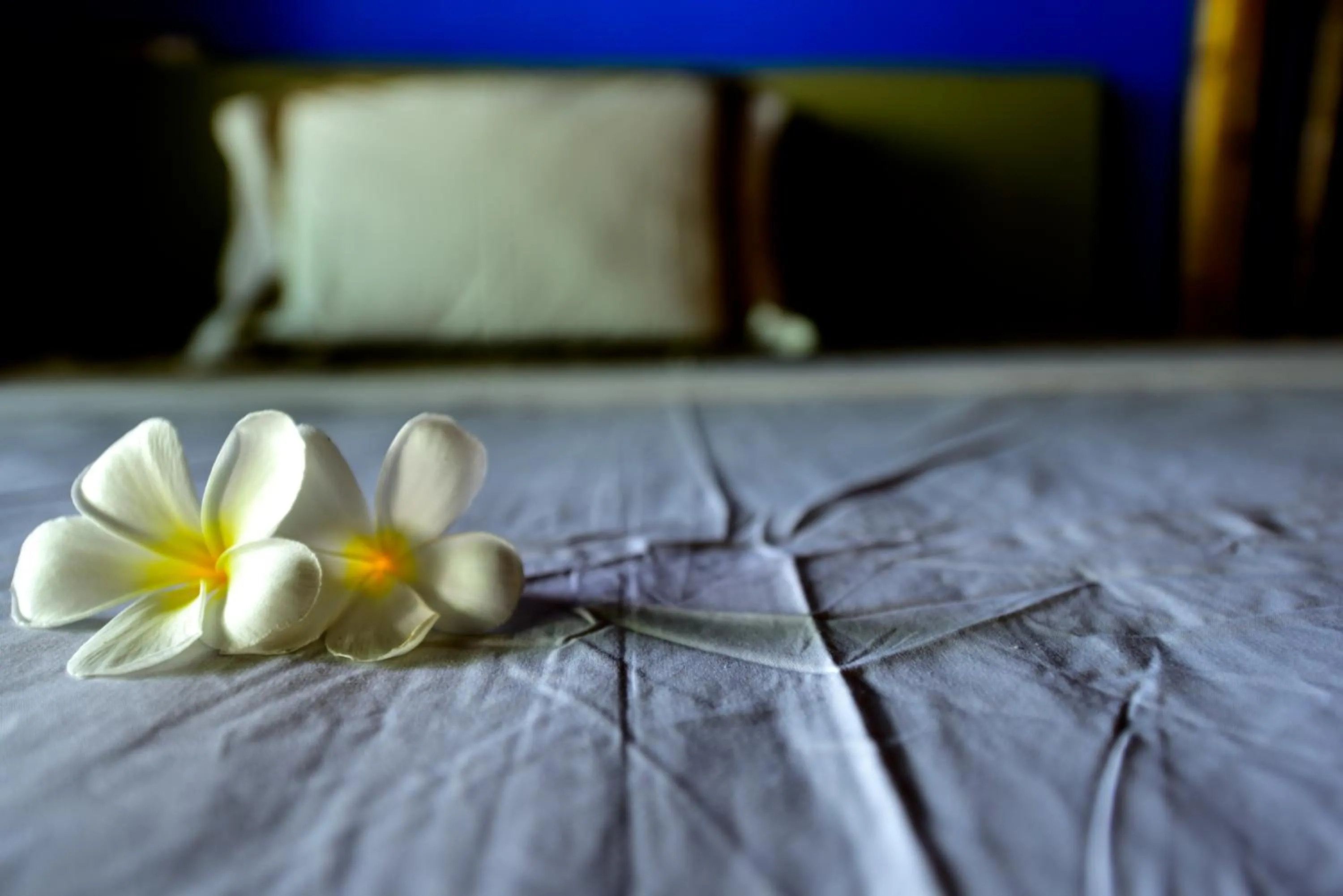 Decorative detail, Bed in Cantika Villa