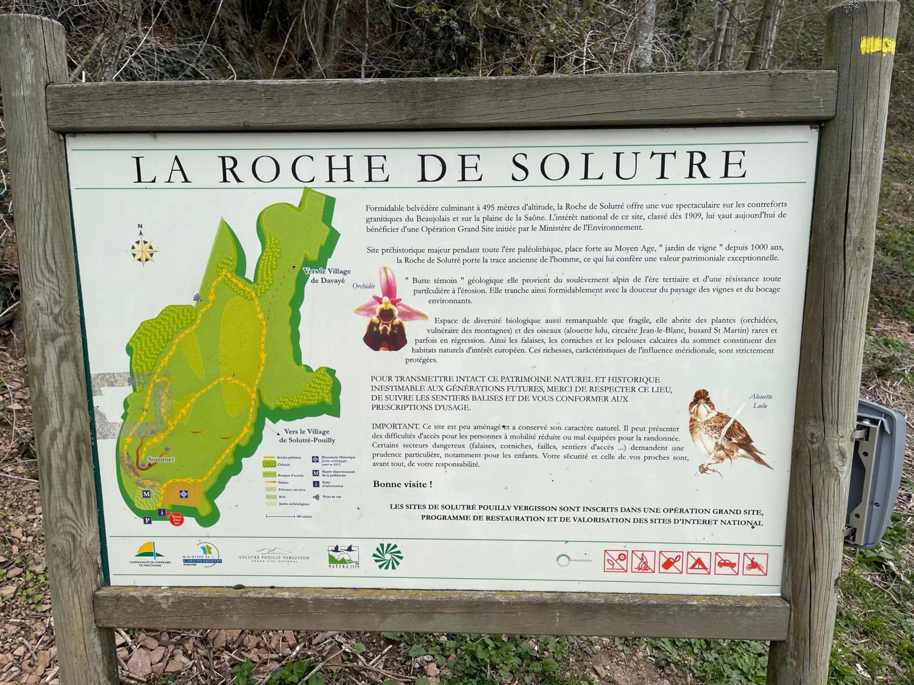 La Tablée Médiévale