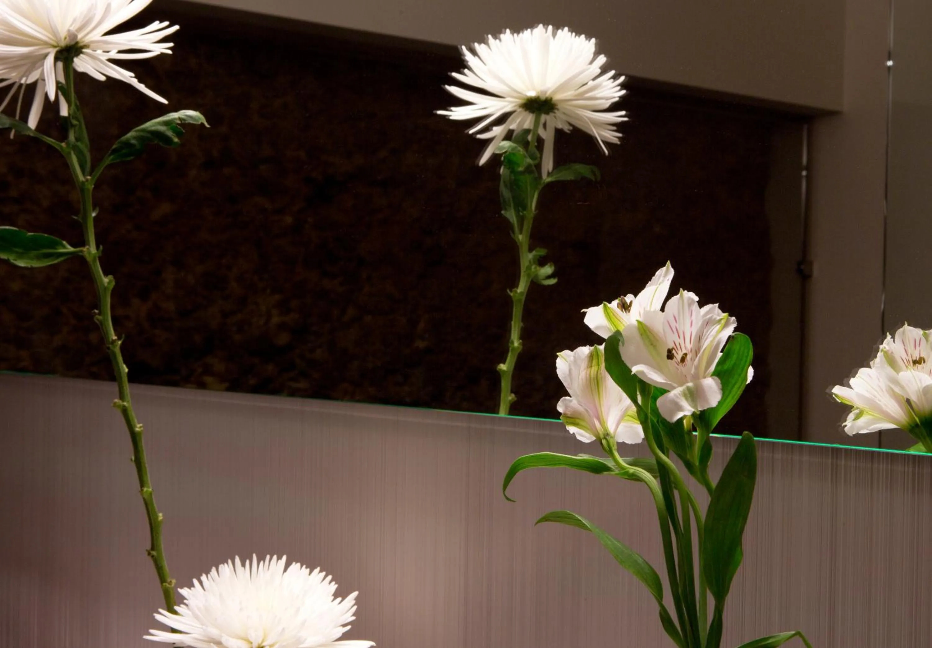 Other in Antidoto Rooms San Agustín - Recomendado para adultos