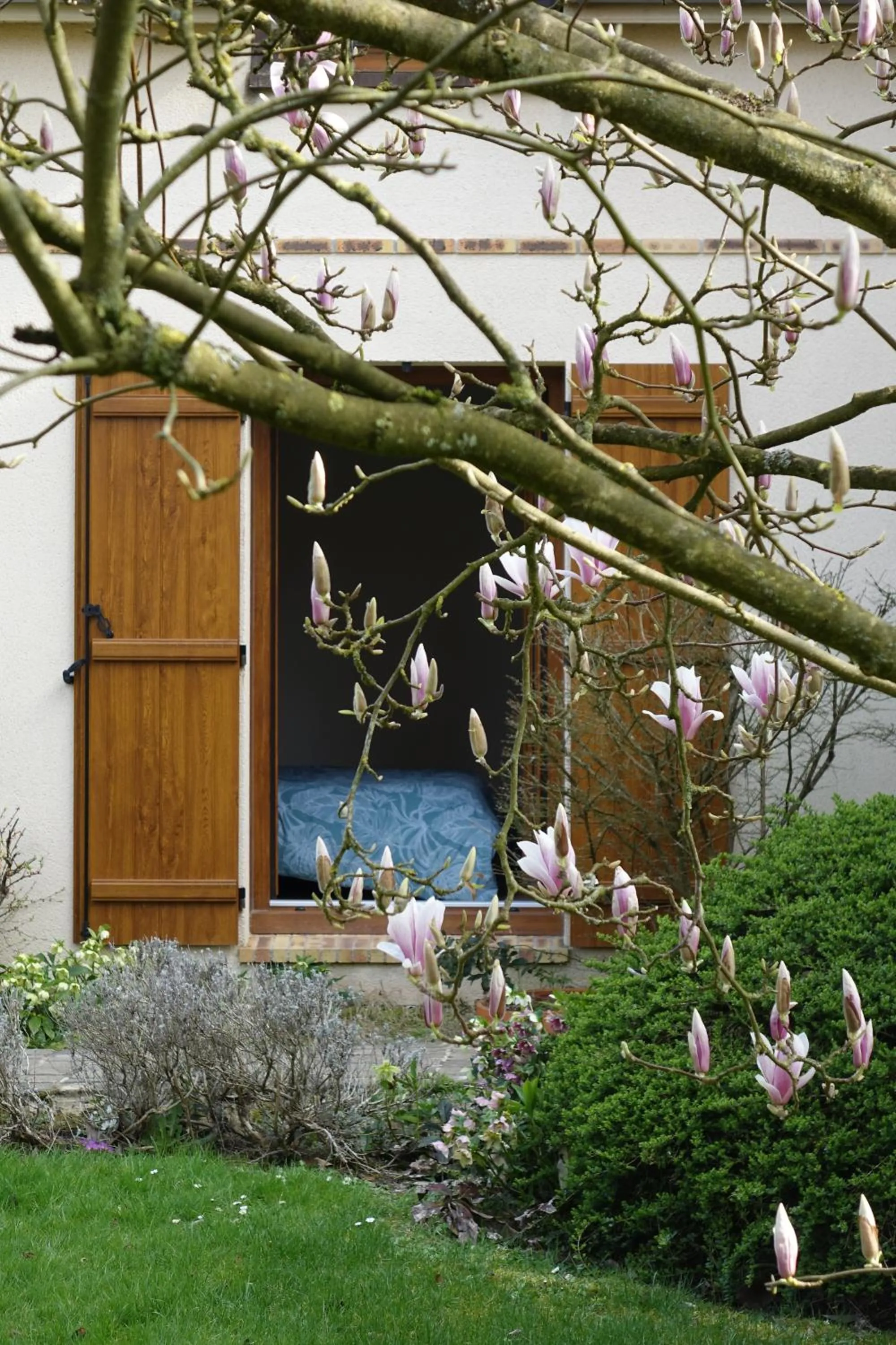 Garden in Les Prunelliers