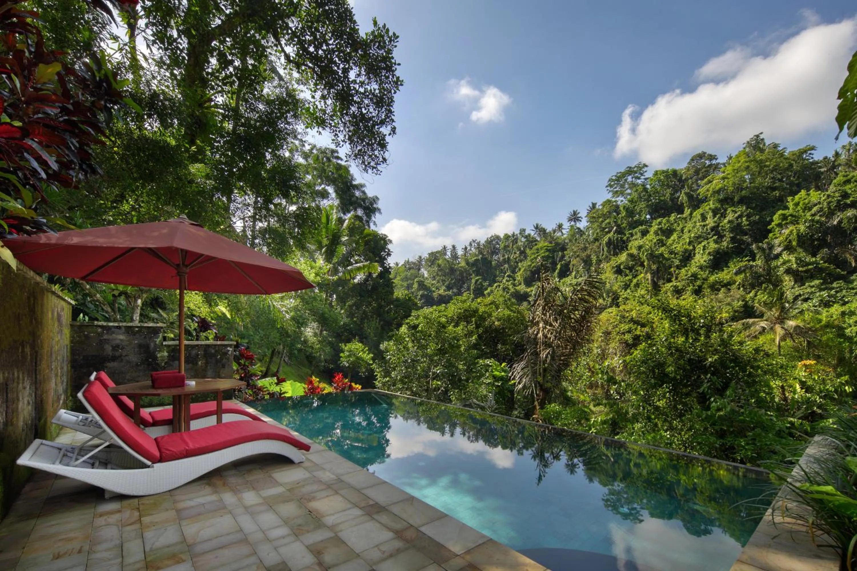 View (from property/room) in Ayung Resort Ubud