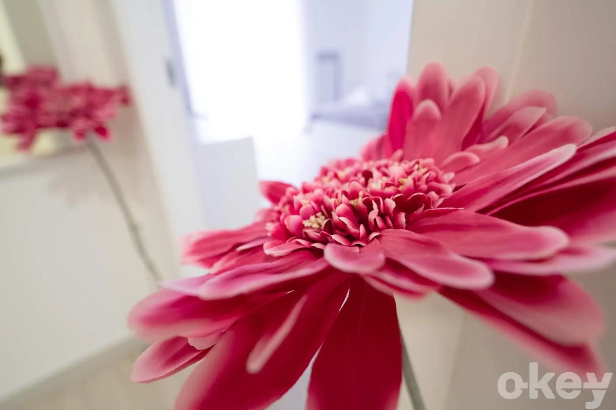 Decorative detail in Casa Viviana - Bari Policlinico