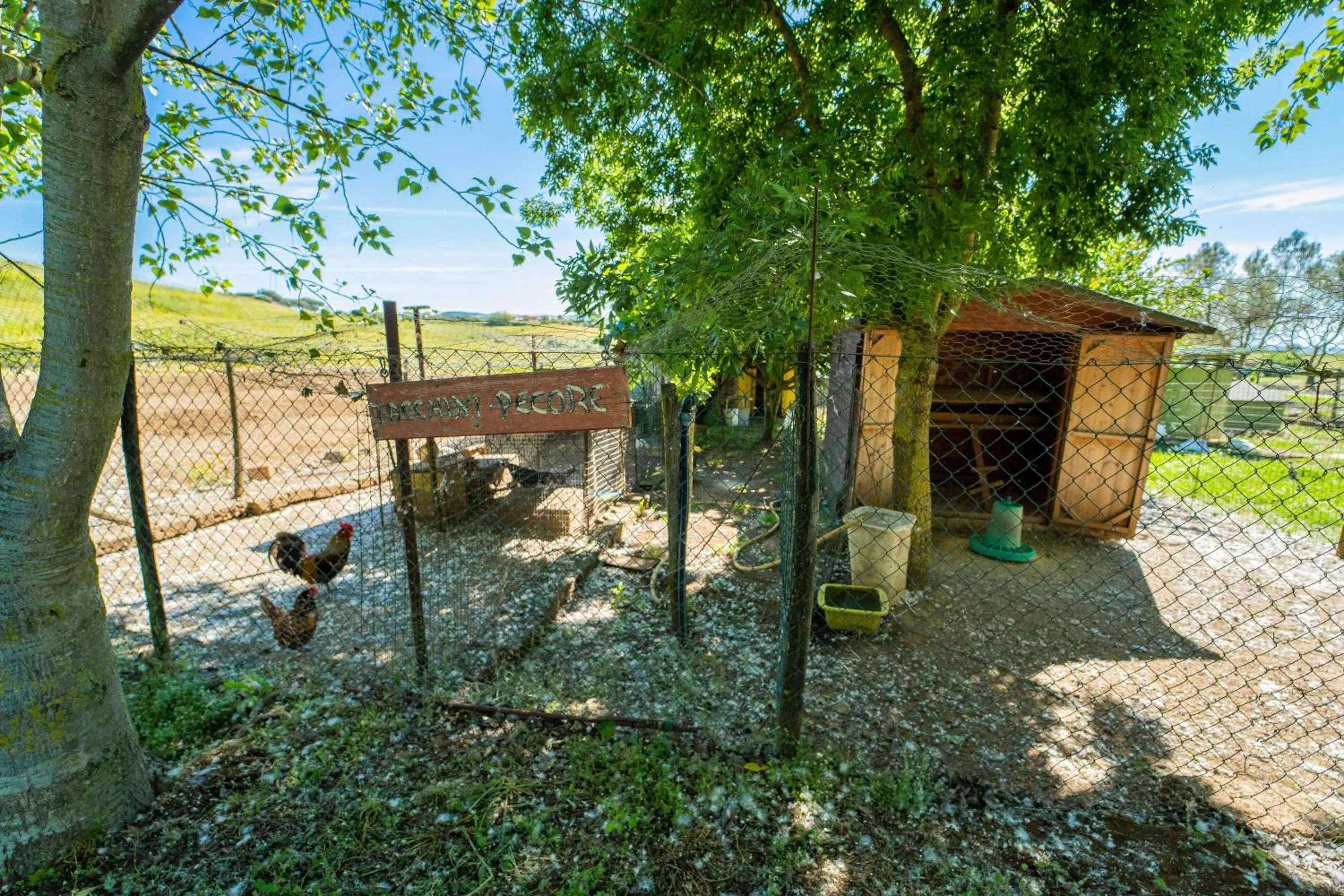 Animals in Agriturismo Zugarelli