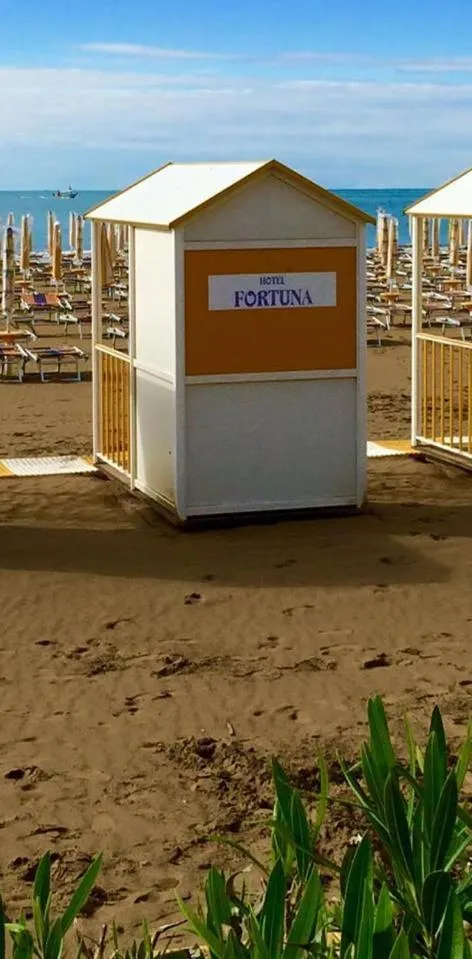 Day in Hotel Fortuna