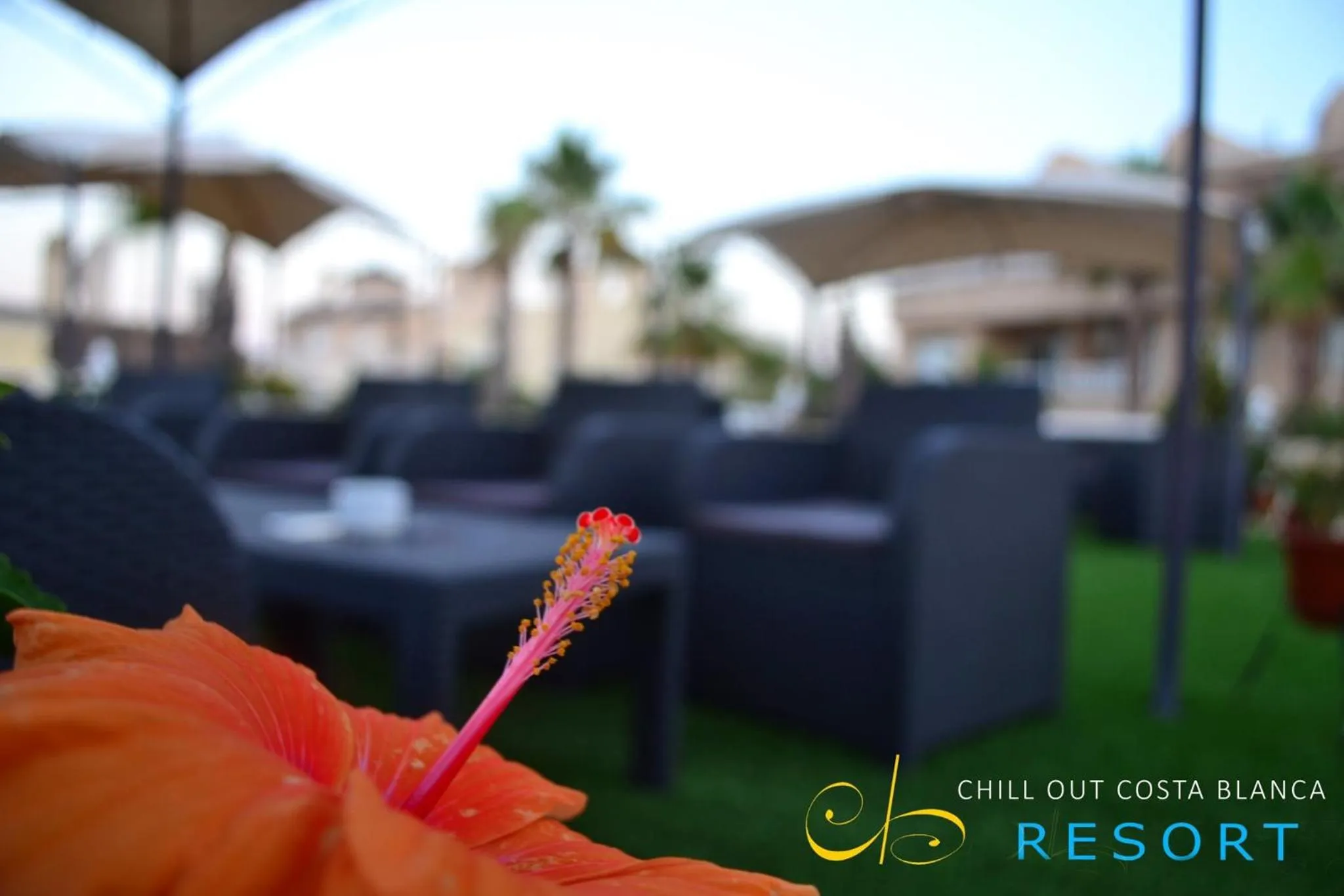 Hotel Costa Blanca Rojales