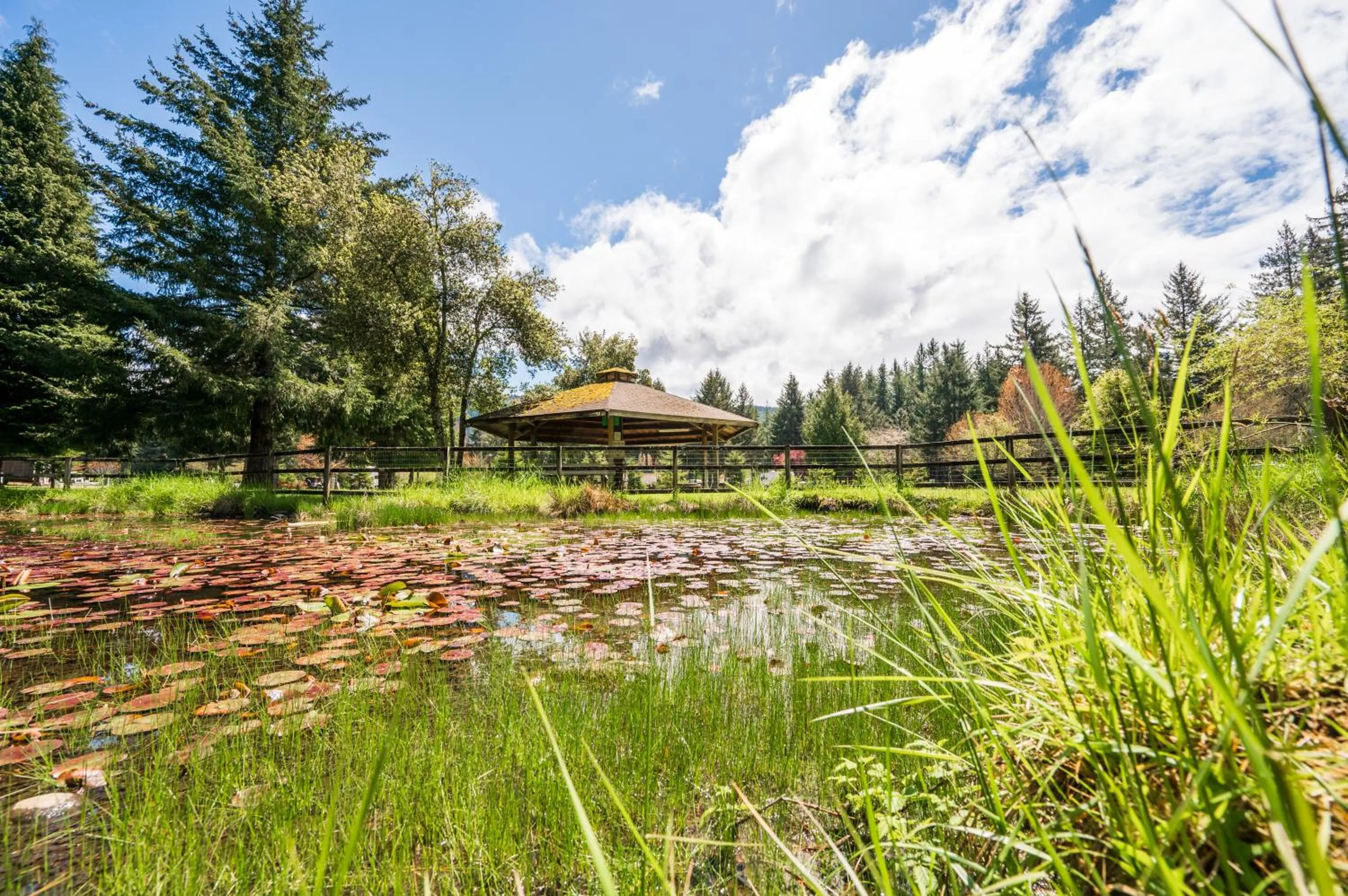 Other in Redwood Meadows RV Resort