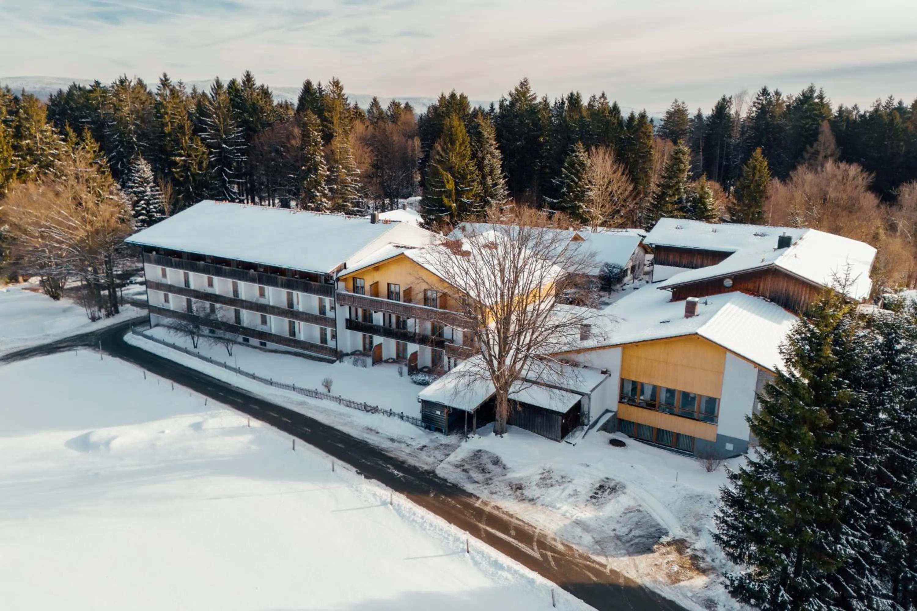 Bird's eye view in Landhotel Tannenhof