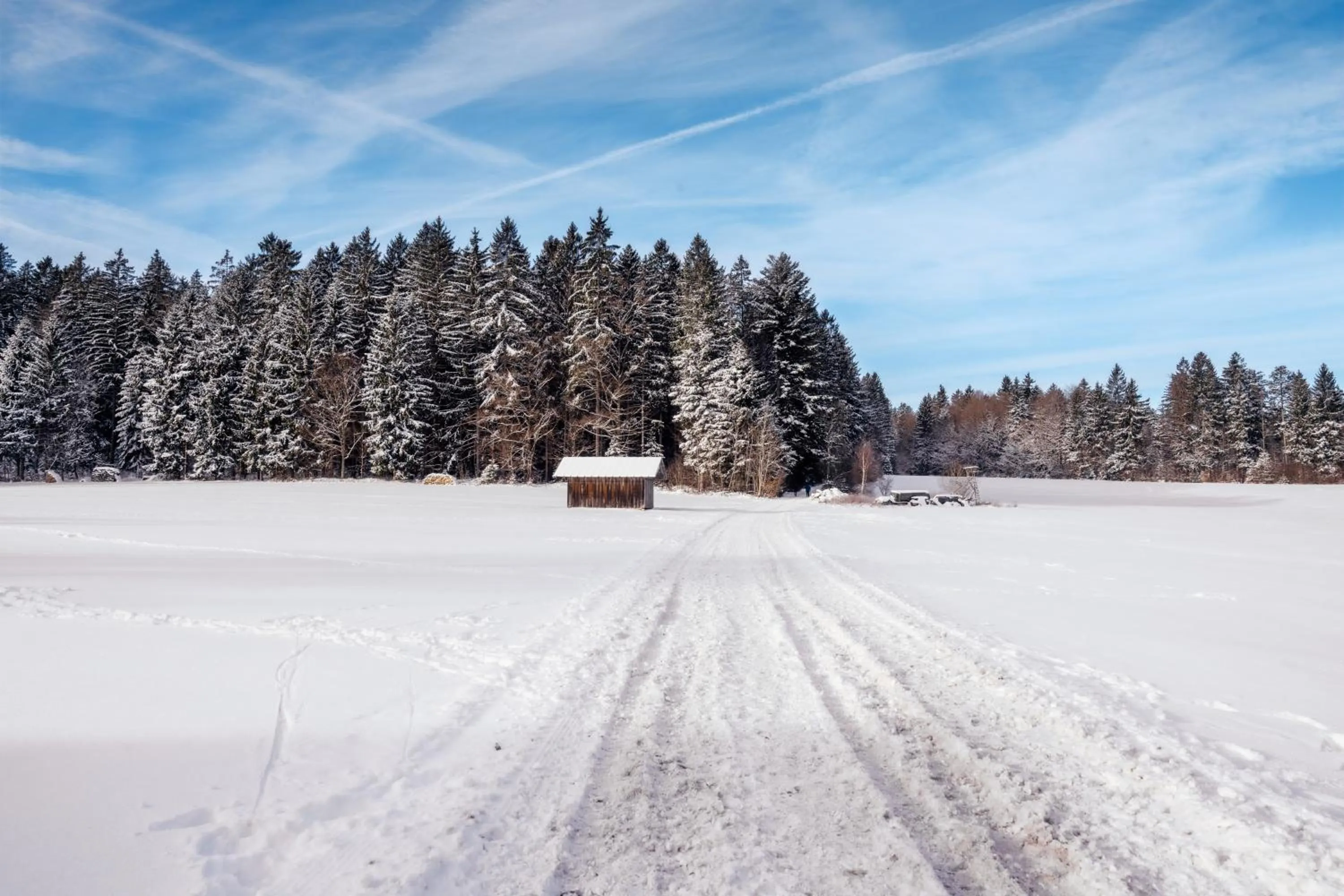 Area and facilities in Landhotel Tannenhof