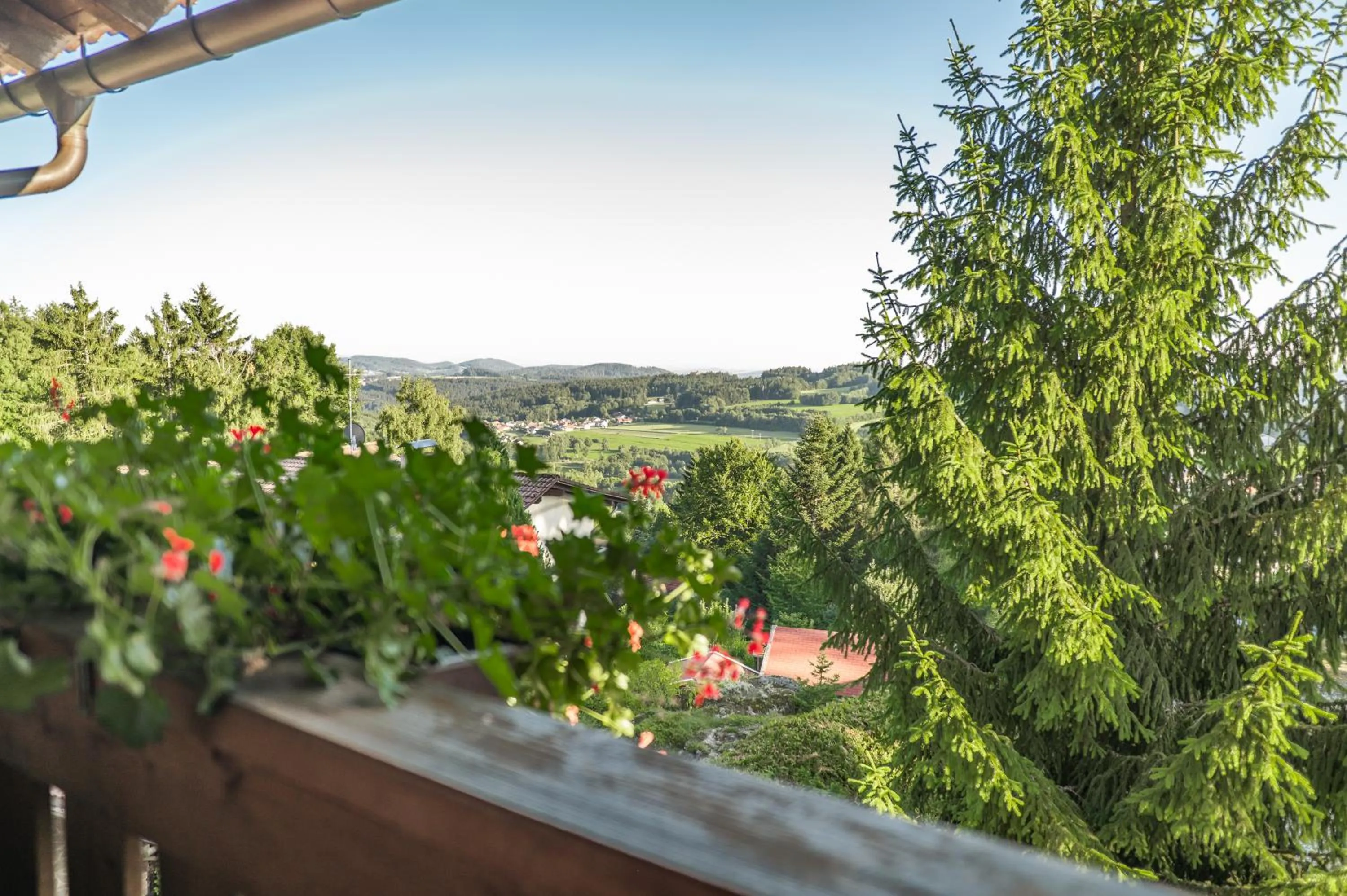 Balcony/Terrace in Landhotel Tannenhof