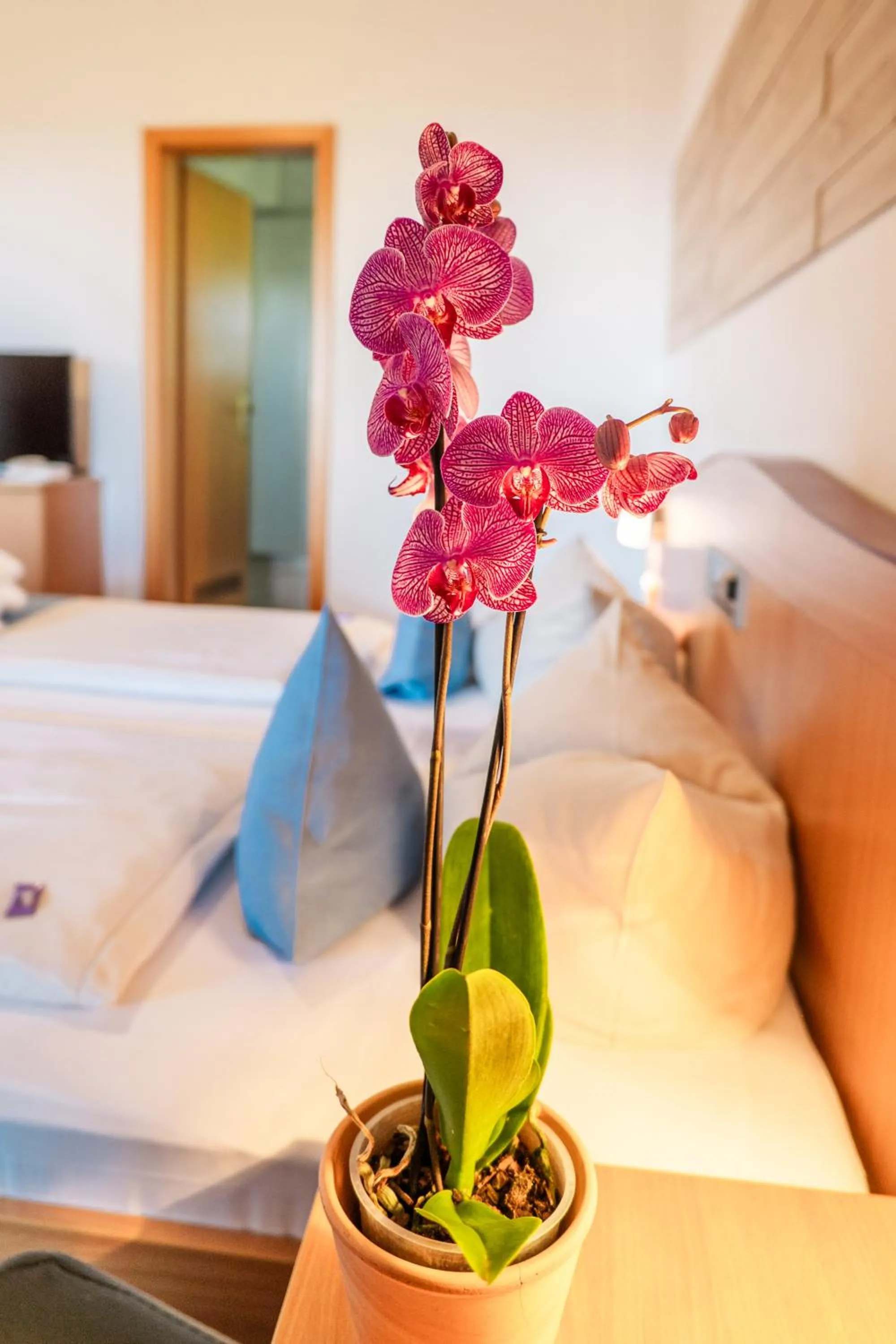 Photo of the whole room, Bed in Landhotel Tannenhof