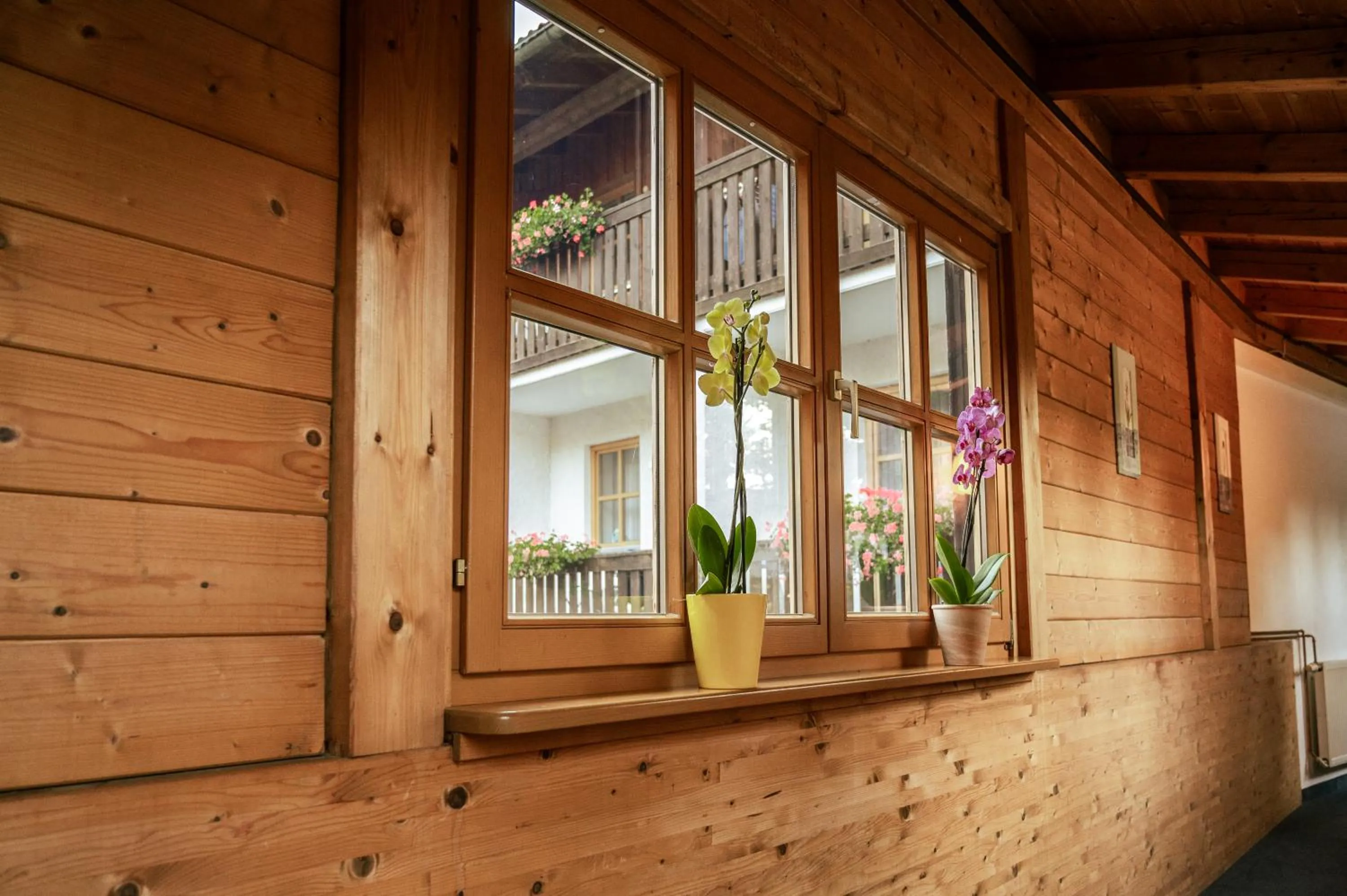 Property building in Landhotel Tannenhof