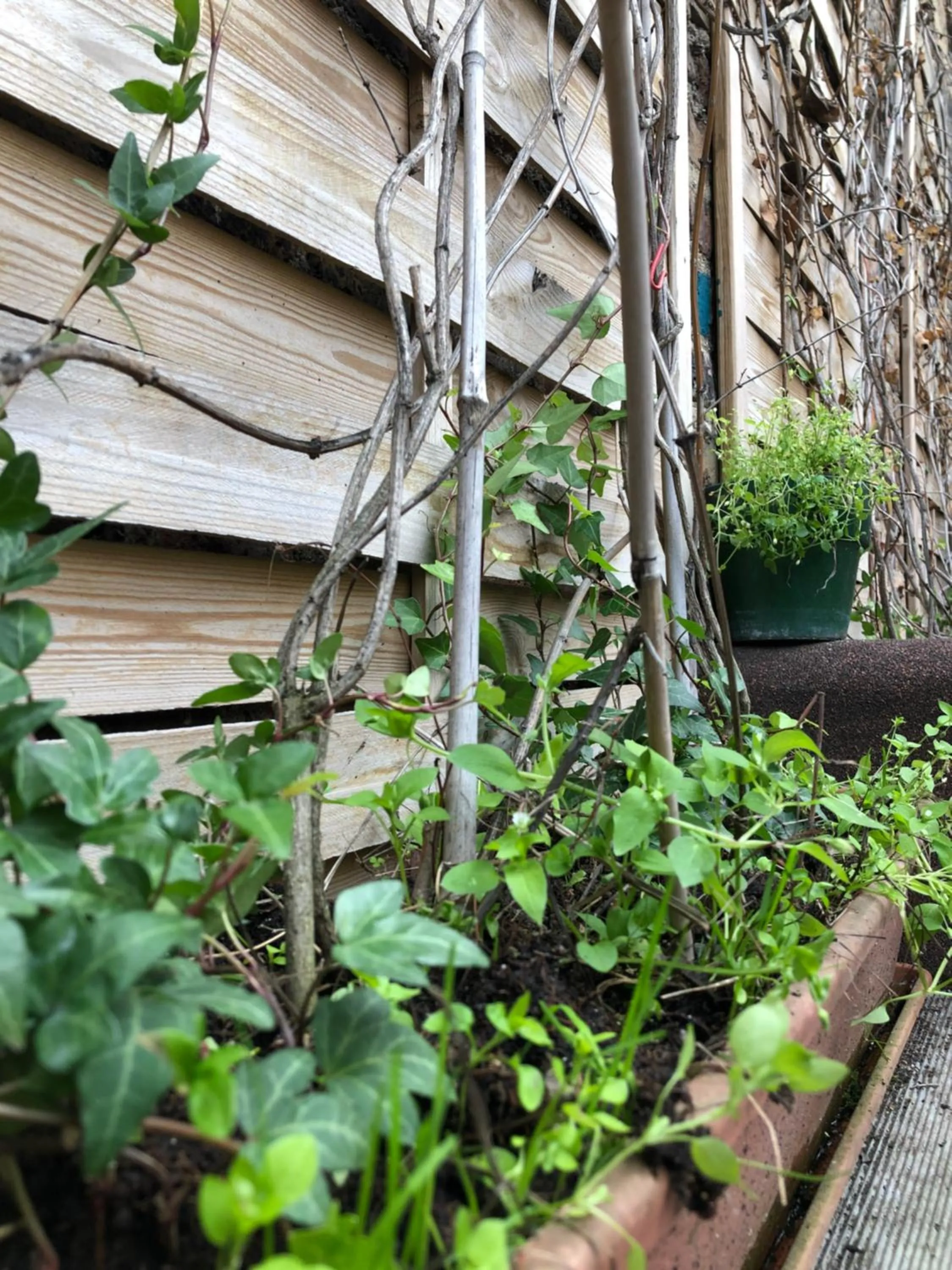 Property building in Le Coffice Auberge de Jeunesse