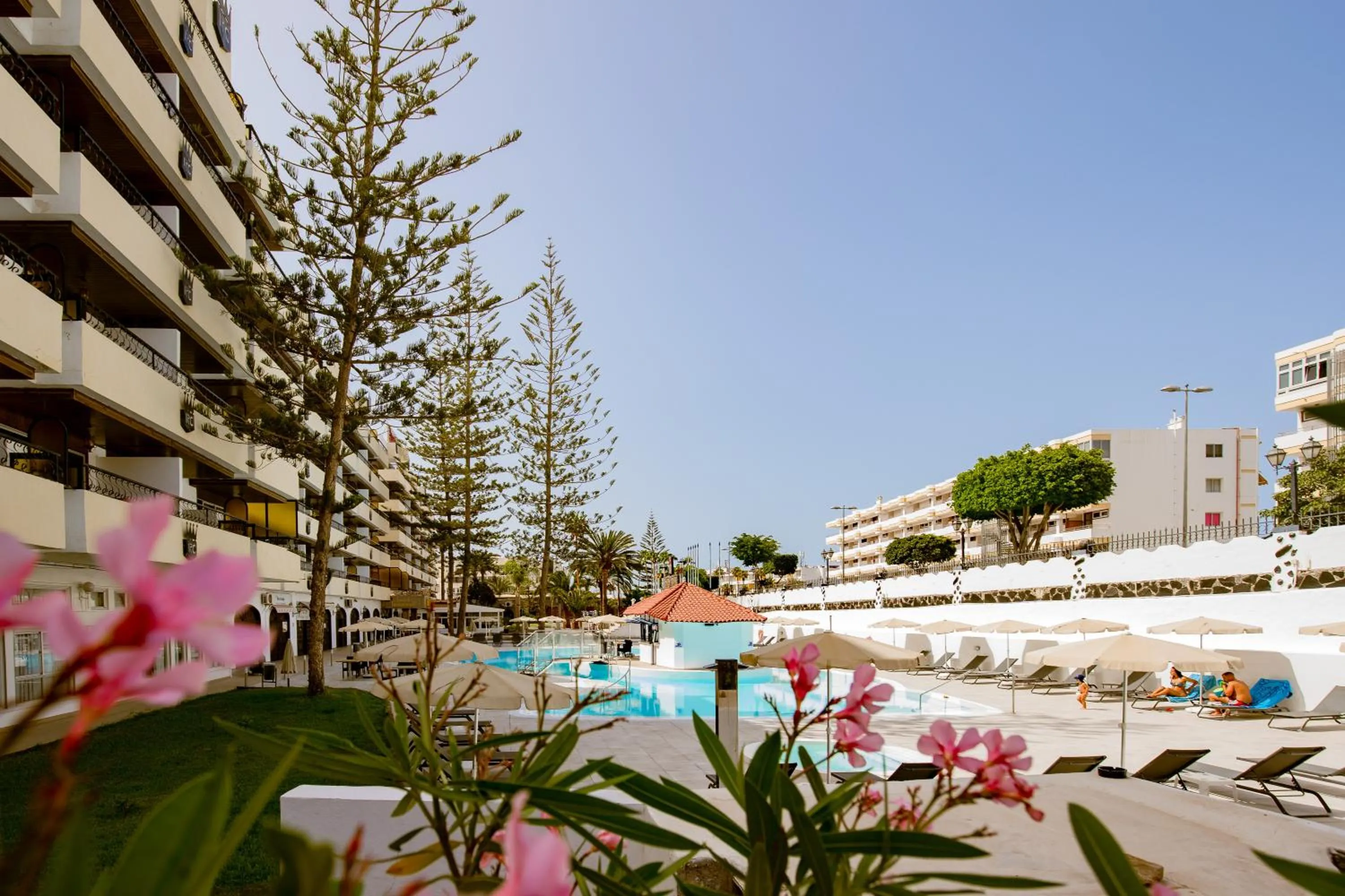 View (from property/room) in Rey Carlos