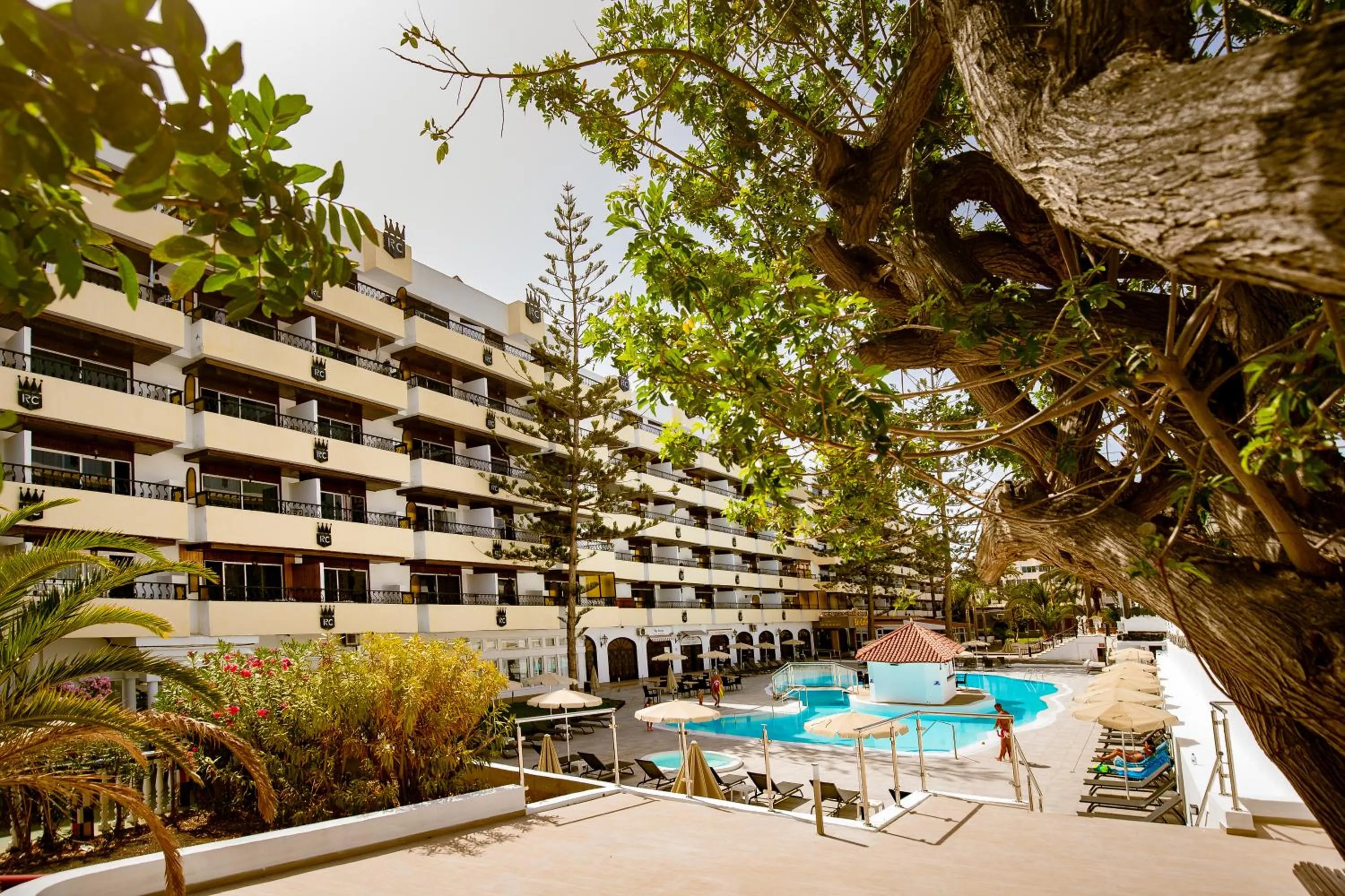 Swimming pool in Rey Carlos