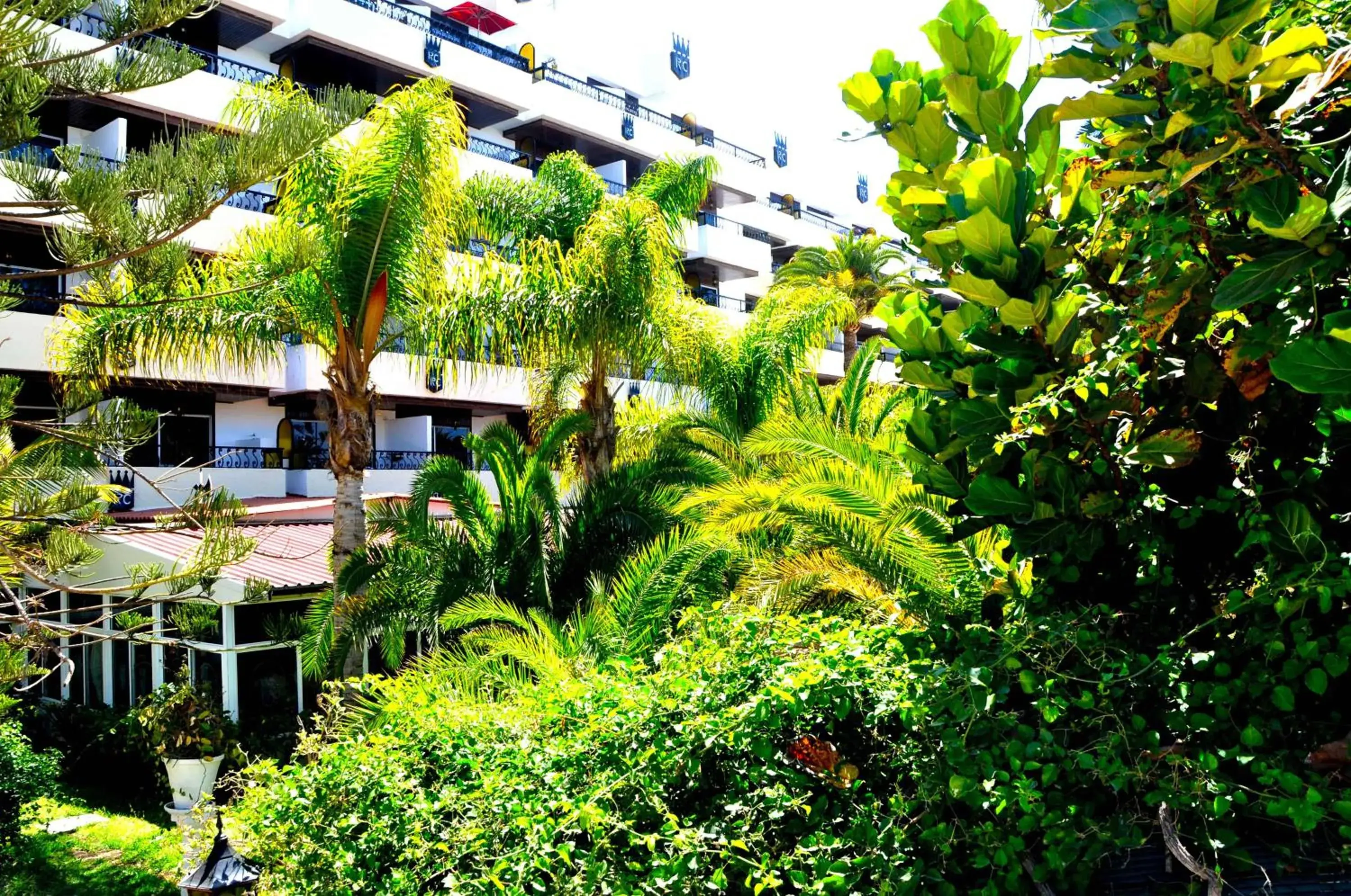 Facade/entrance in Rey Carlos Facade/entrance in Rey Carlos