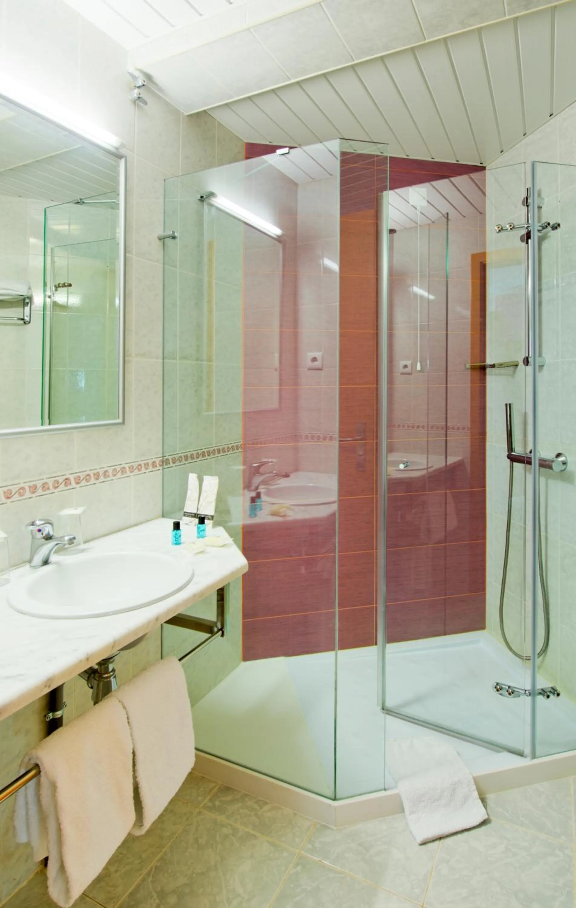 Shower in Hotel D. Dinis