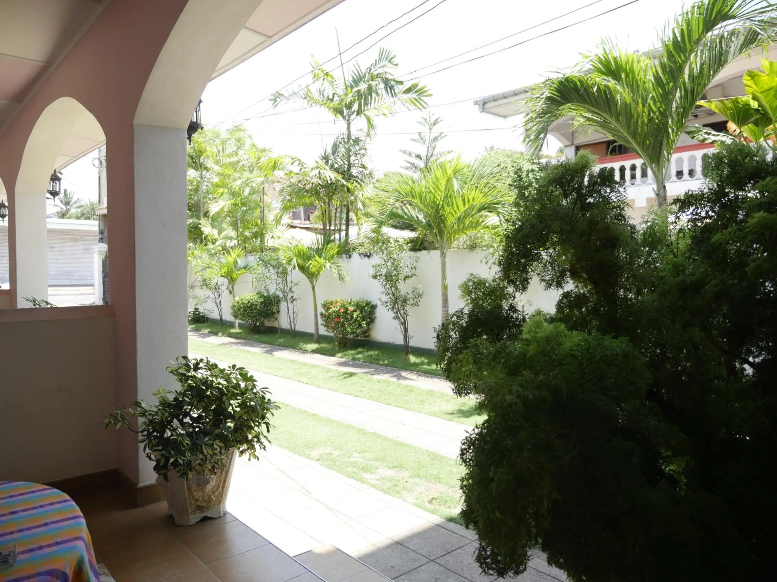 Garden in Ocean View tourist guest house at Negombo beach near the airport