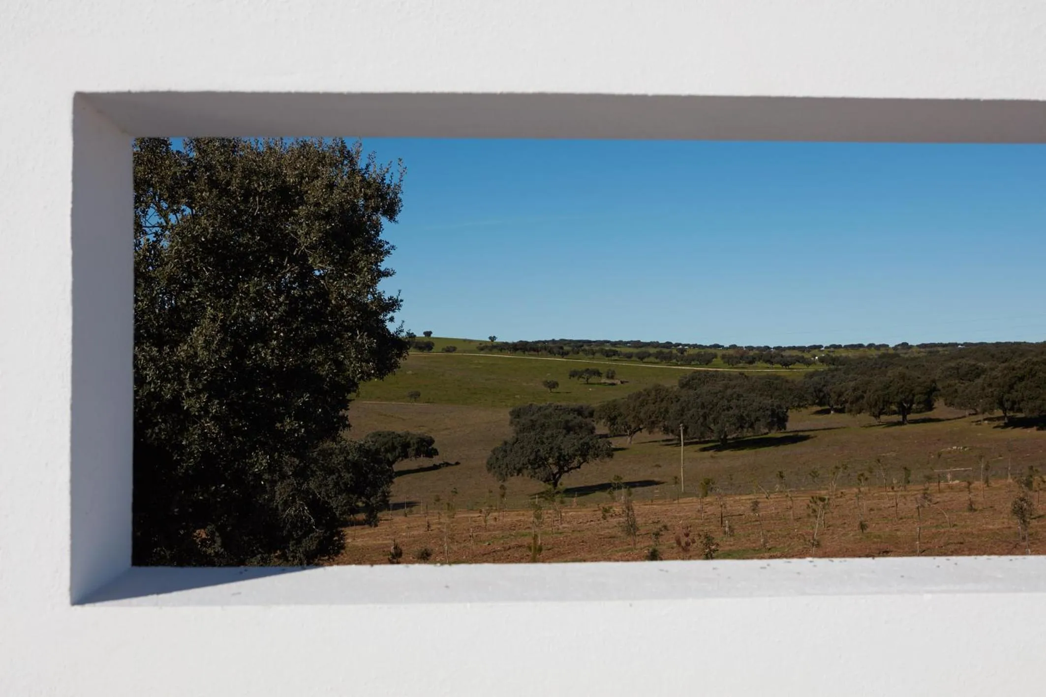 Day in Monte dos Cordeiros