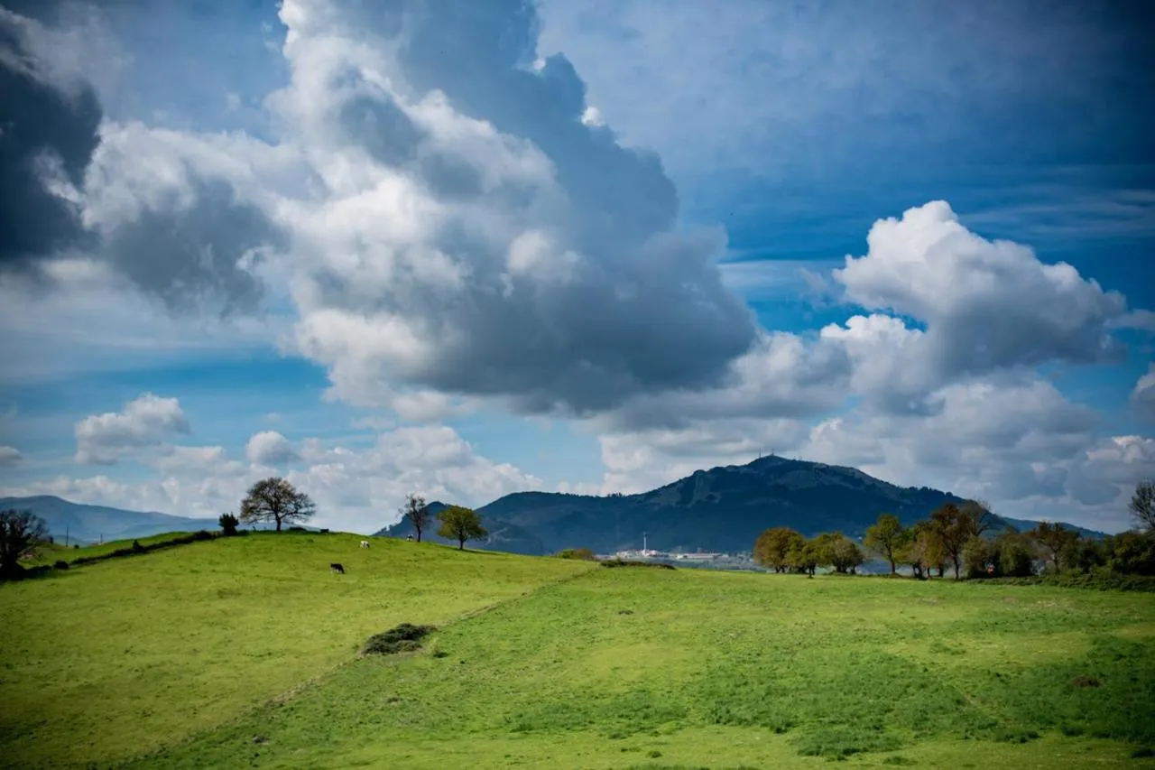 View (from property/room) in El Mirador de Rivas