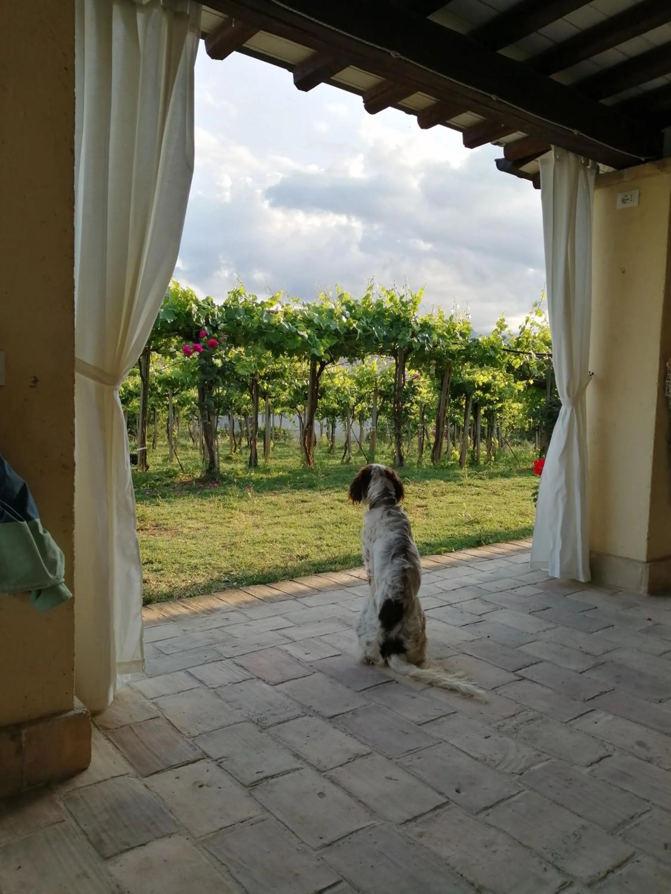 Patio in B&B Conca Del Pretore