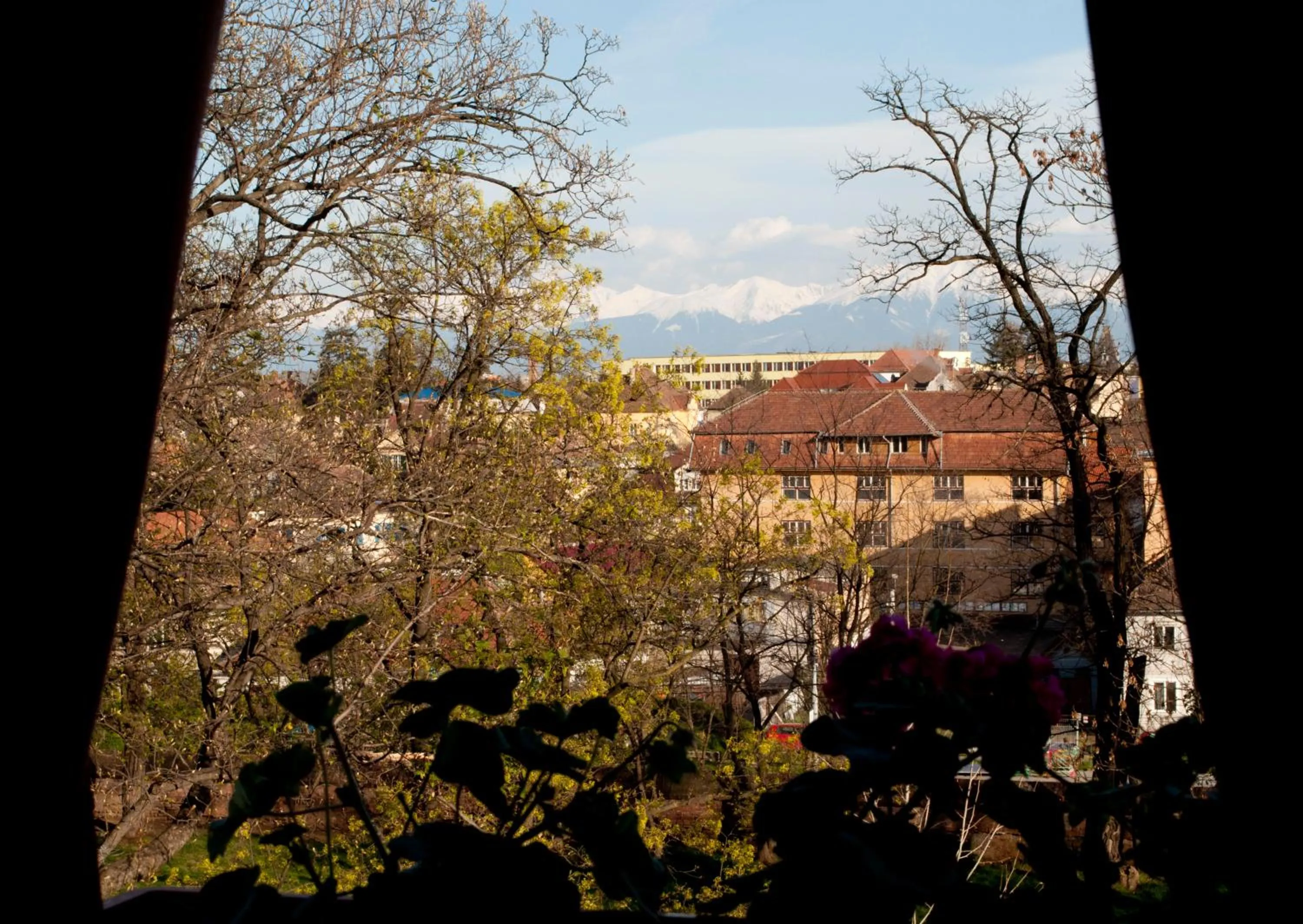 City view in Casa Salzburg