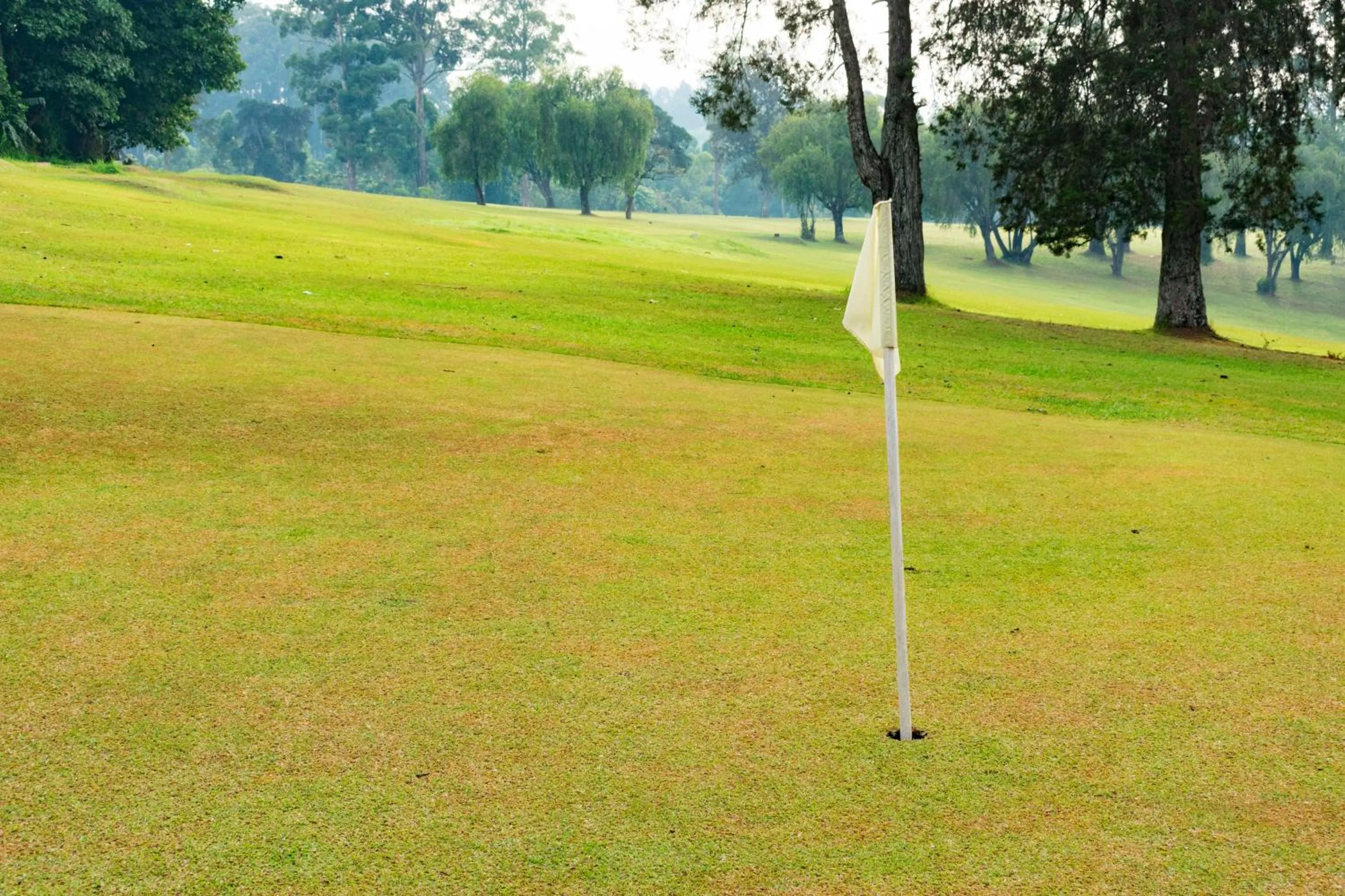 Minigolf in Tooro Fairway Hotel