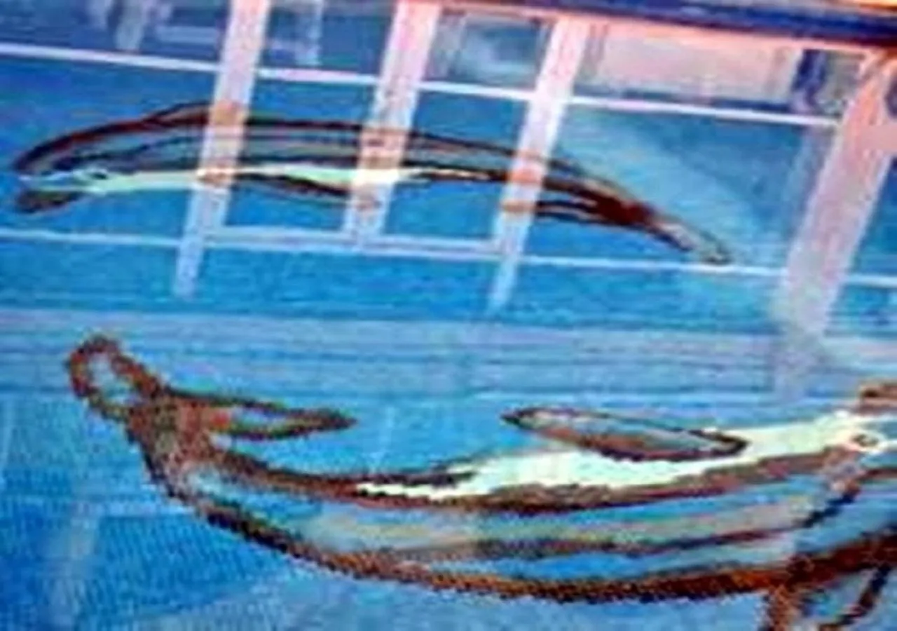 Pool view in Ucem Hotel Golden Sea