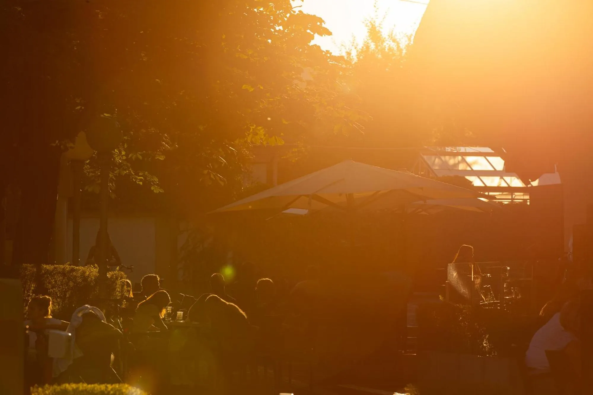 Garden in Pri Žabarju Bed & Breakfast Ljubljana