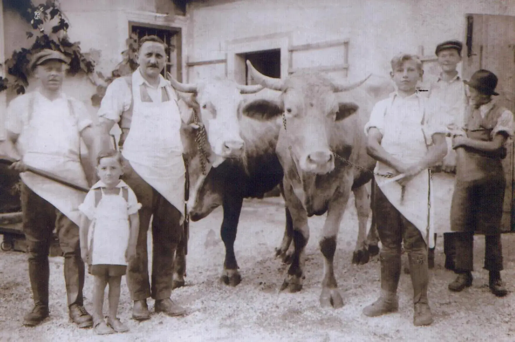 Property building in Pri Žabarju Bed & Breakfast Ljubljana Property building in Pri Žabarju Bed & Breakfast Ljubljana