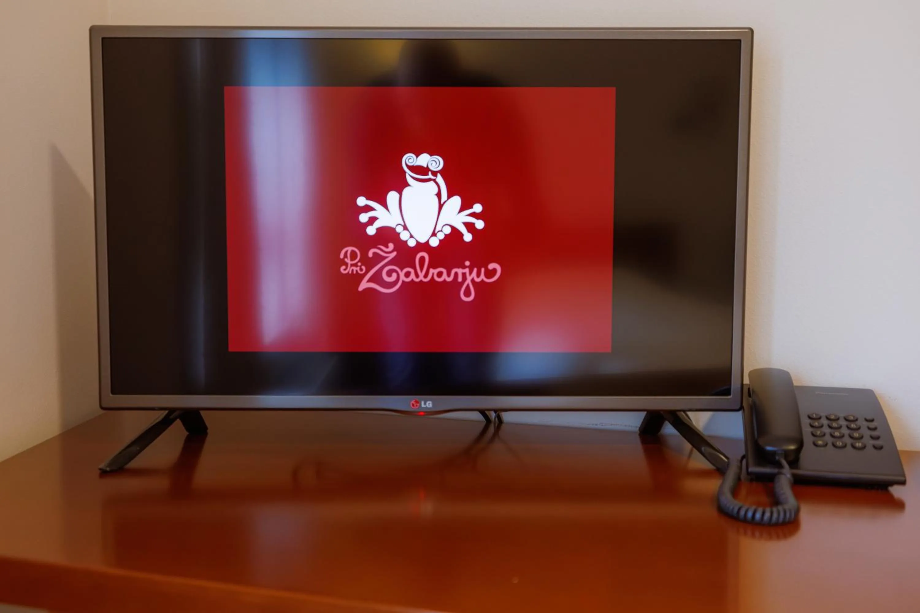 TV and multimedia in Pri Žabarju Bed & Breakfast Ljubljana