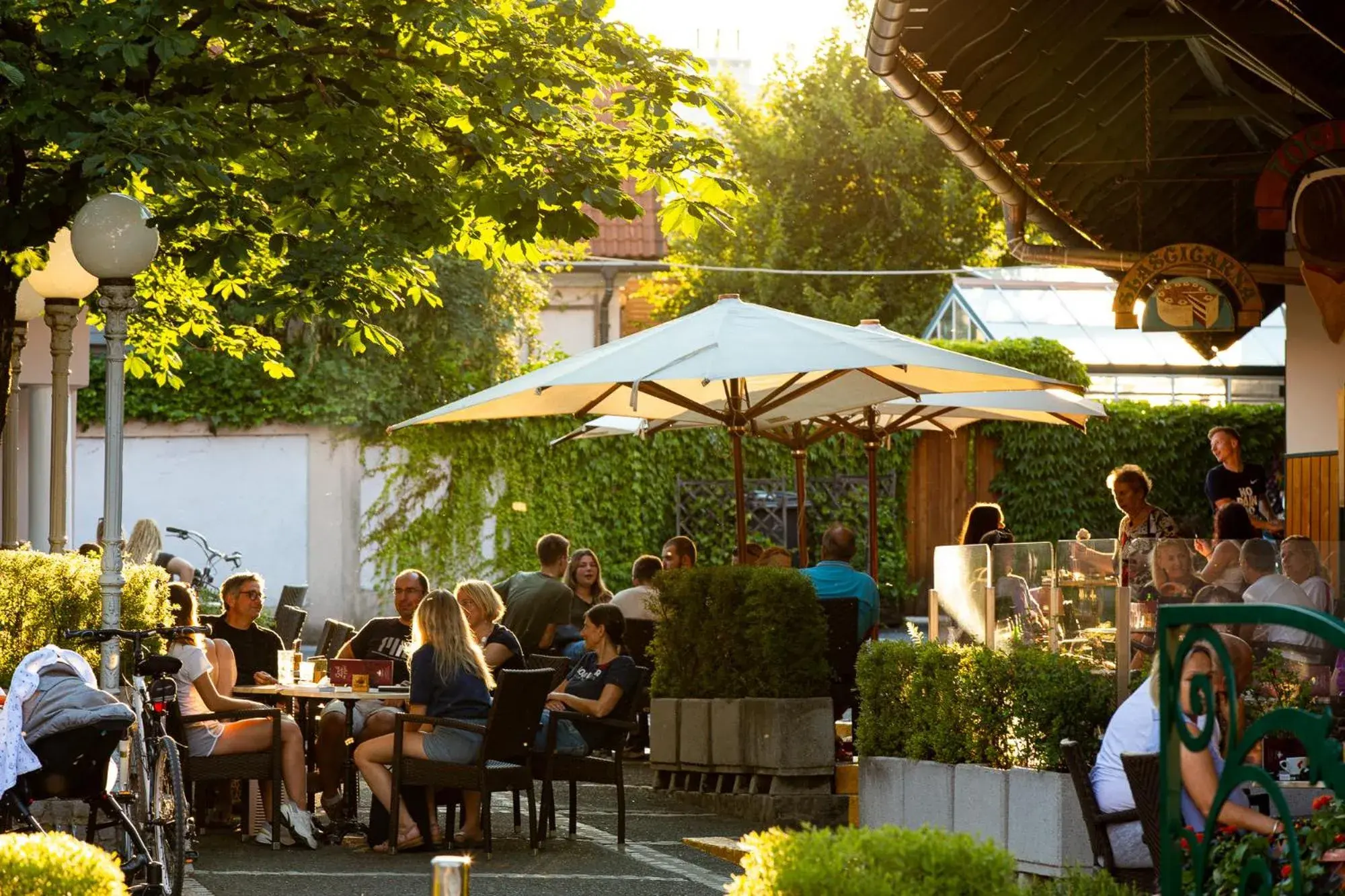 Lounge or bar in Pri Žabarju Bed & Breakfast Ljubljana Lounge or bar in Pri Žabarju Bed & Breakfast Ljubljana