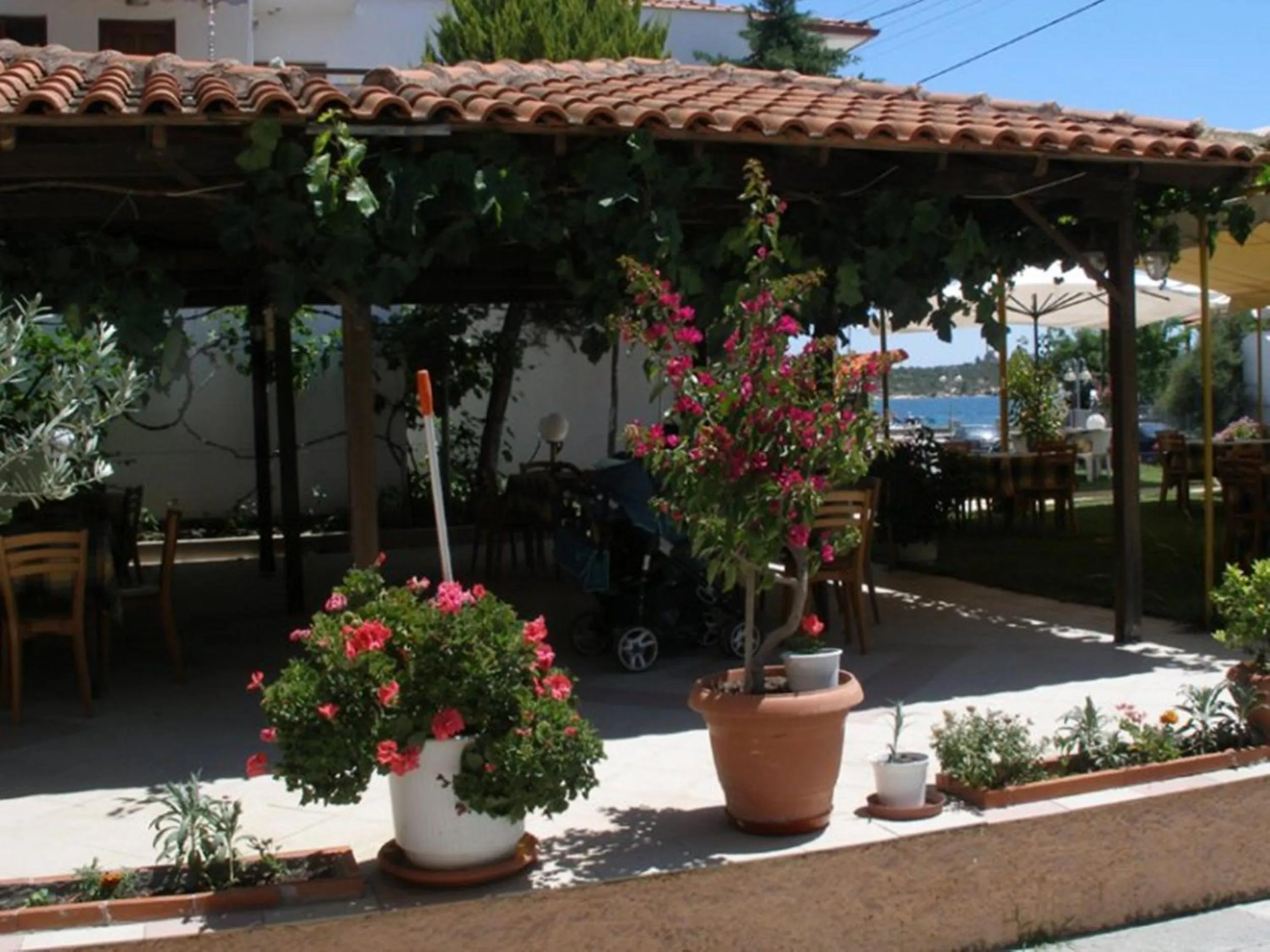 Day in Hotel Alexandros