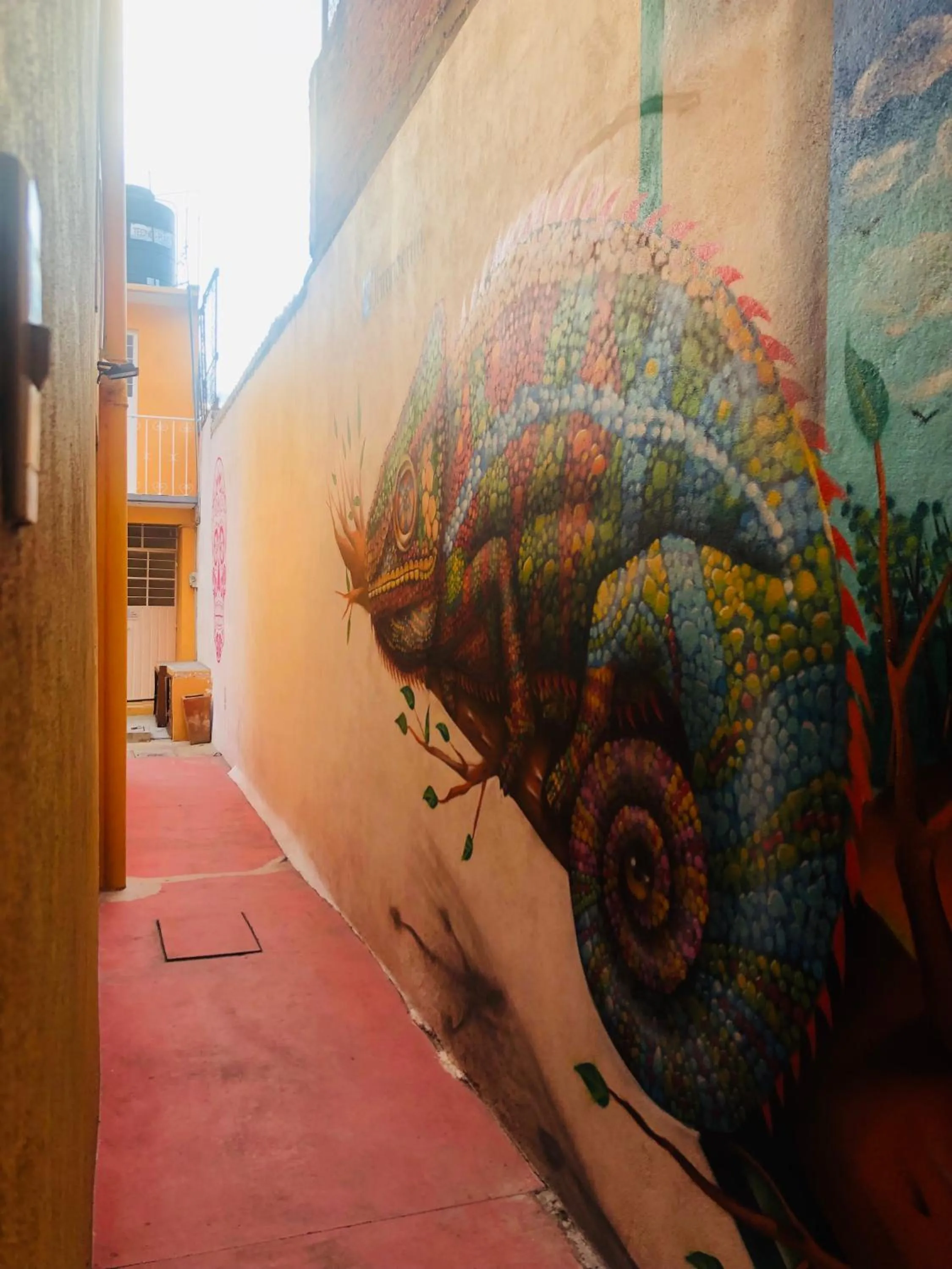 Decorative detail in Los Nardos Hostel -pet friendly-