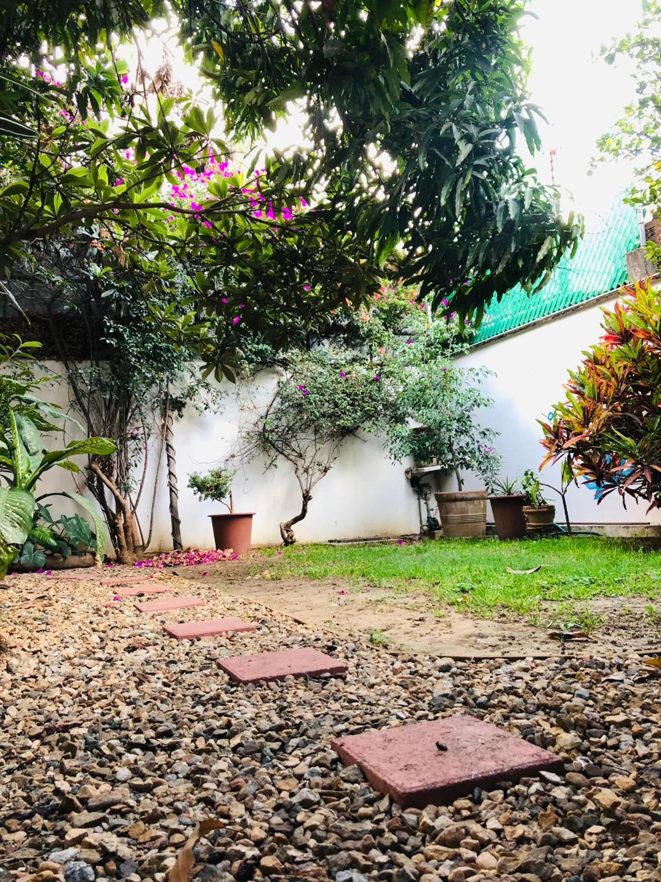 Garden in Los Nardos Hostel -pet friendly-