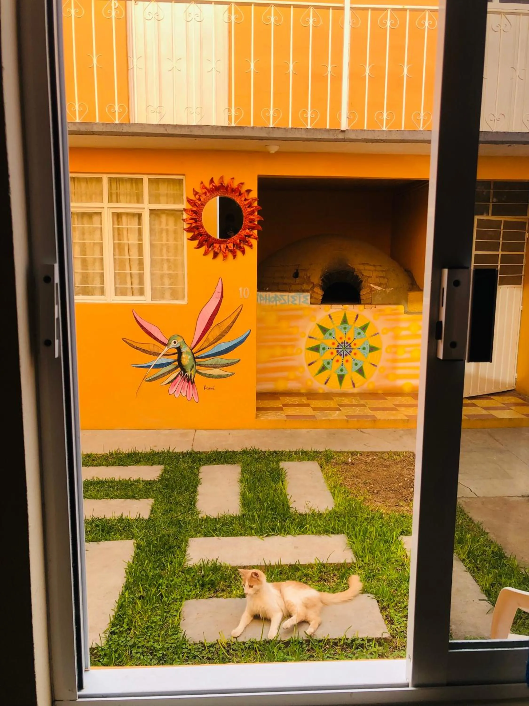 Day in Los Nardos Hostel -pet friendly-