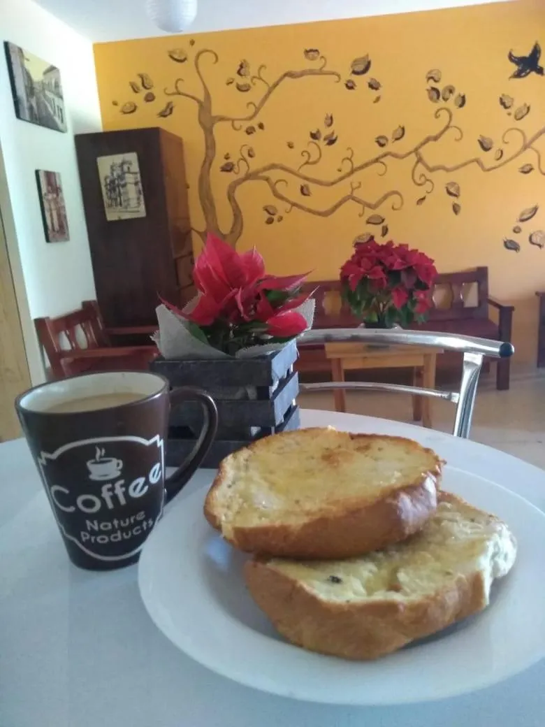 Breakfast in Los Nardos Hostel -pet friendly-