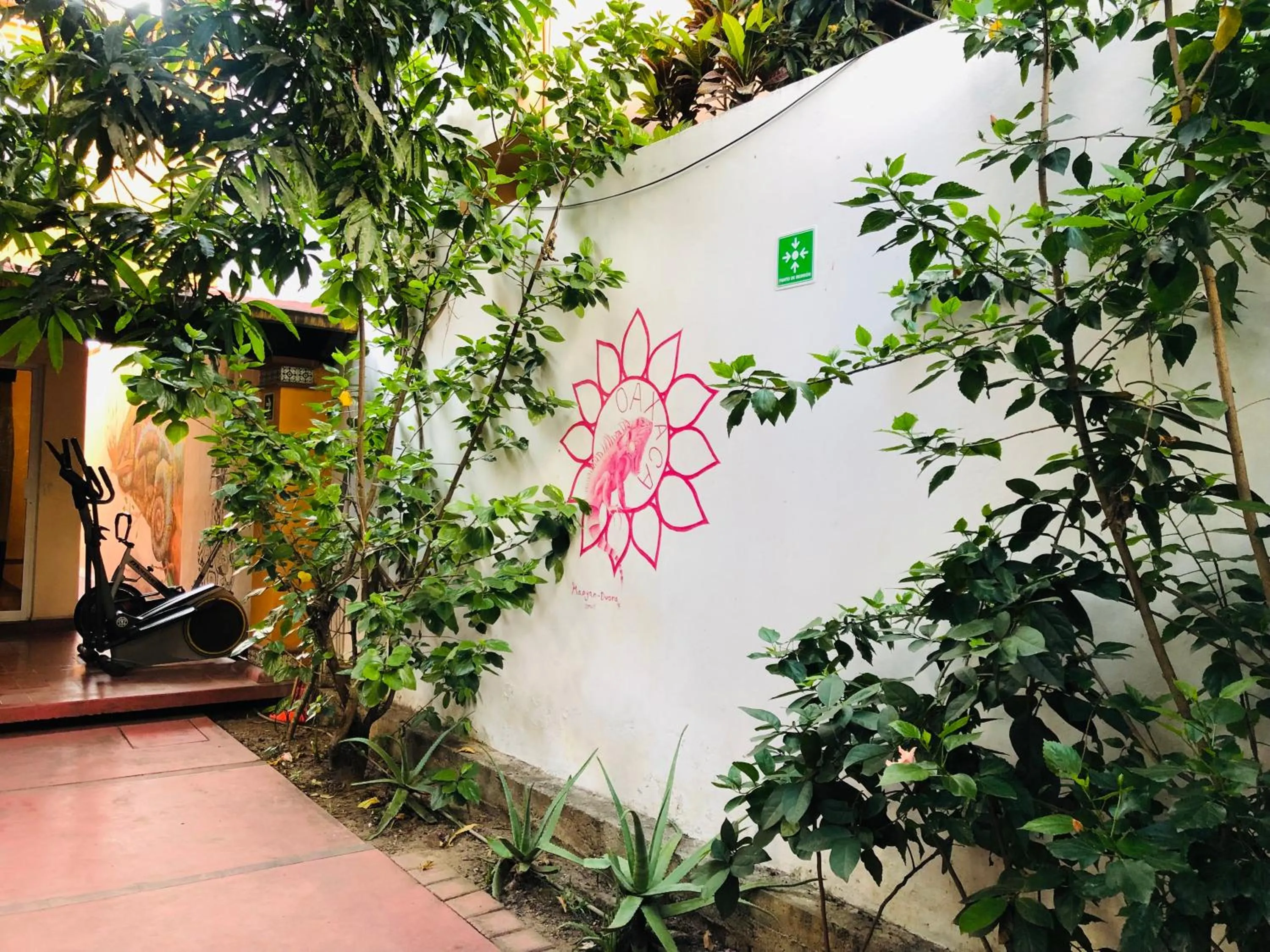 Garden view in Los Nardos Hostel -pet friendly-