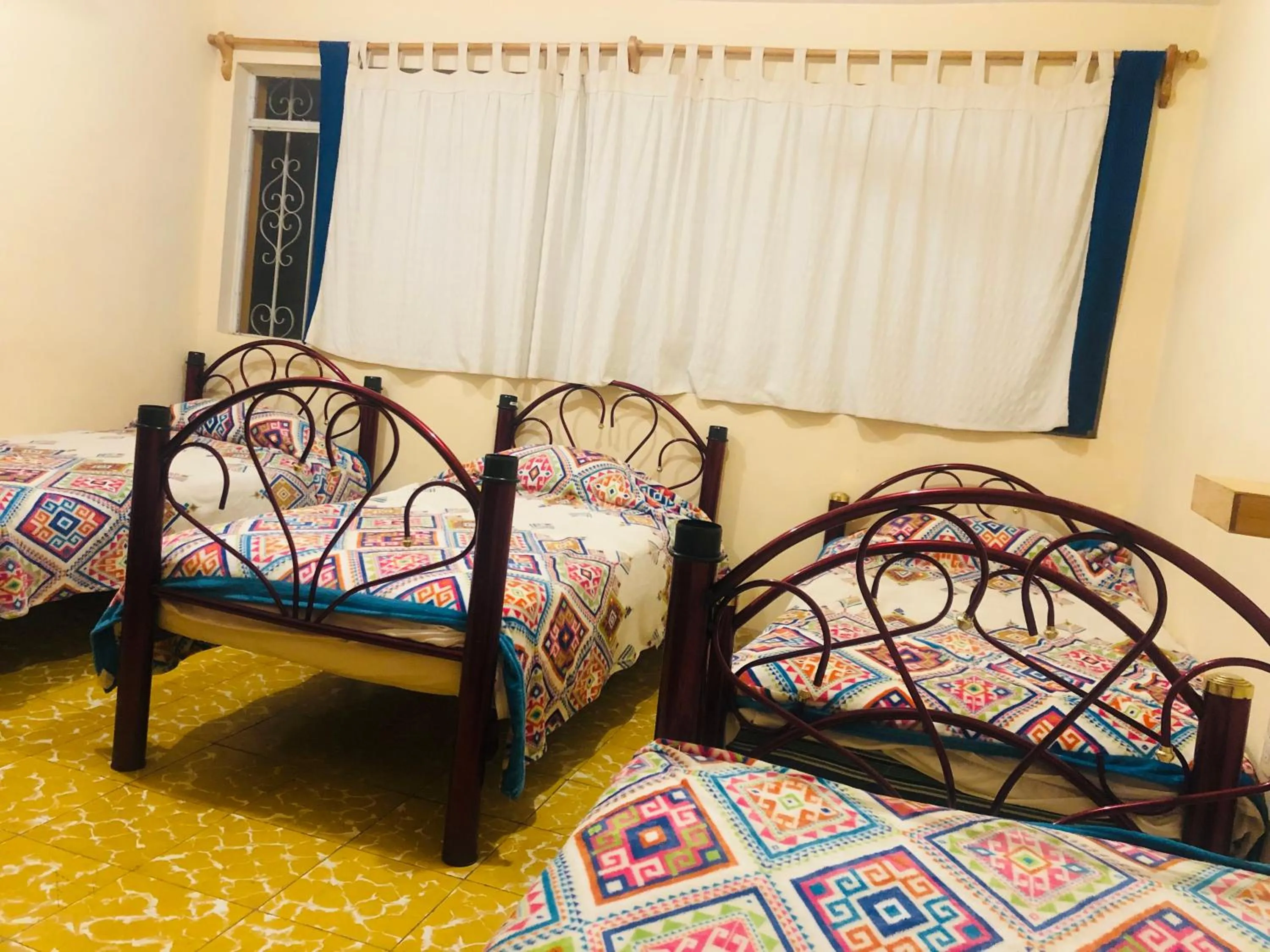 Bed in Los Nardos Hostel -pet friendly-