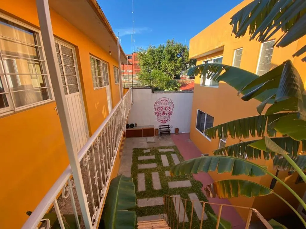 Patio in Los Nardos Hostel -pet friendly-