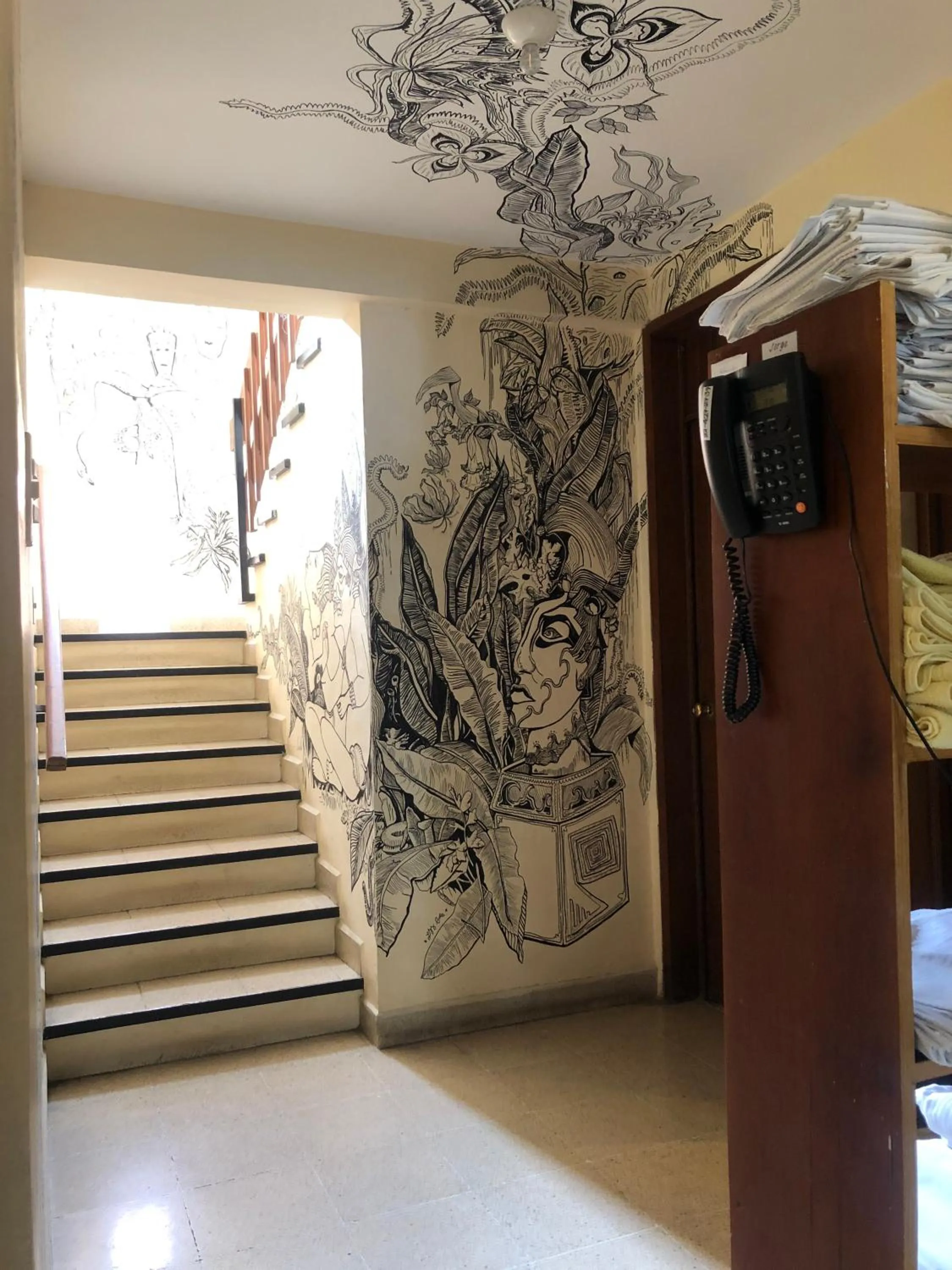 Los Nardos Hostel -pet friendly-