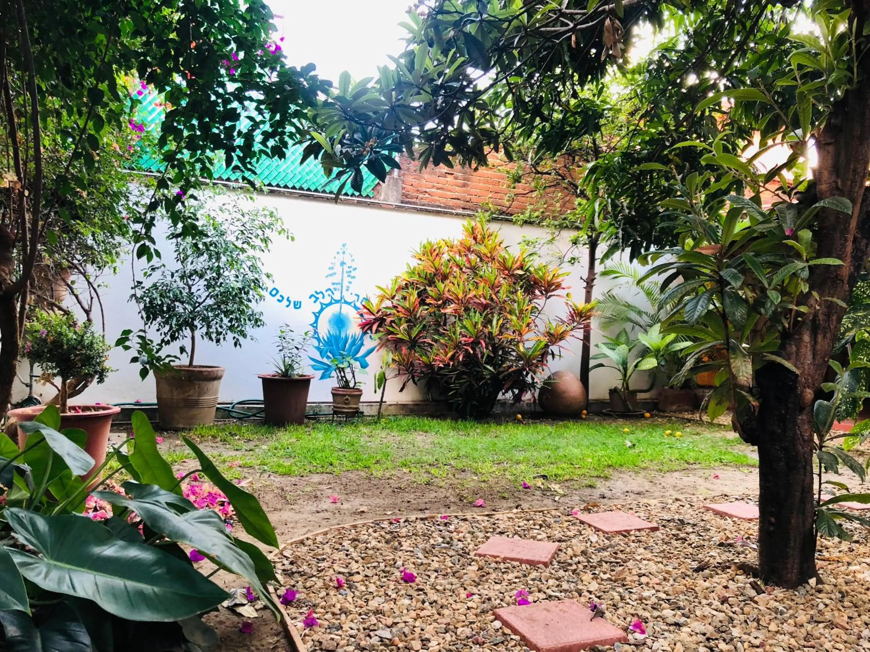 Day in Los Nardos Hostel -pet friendly-